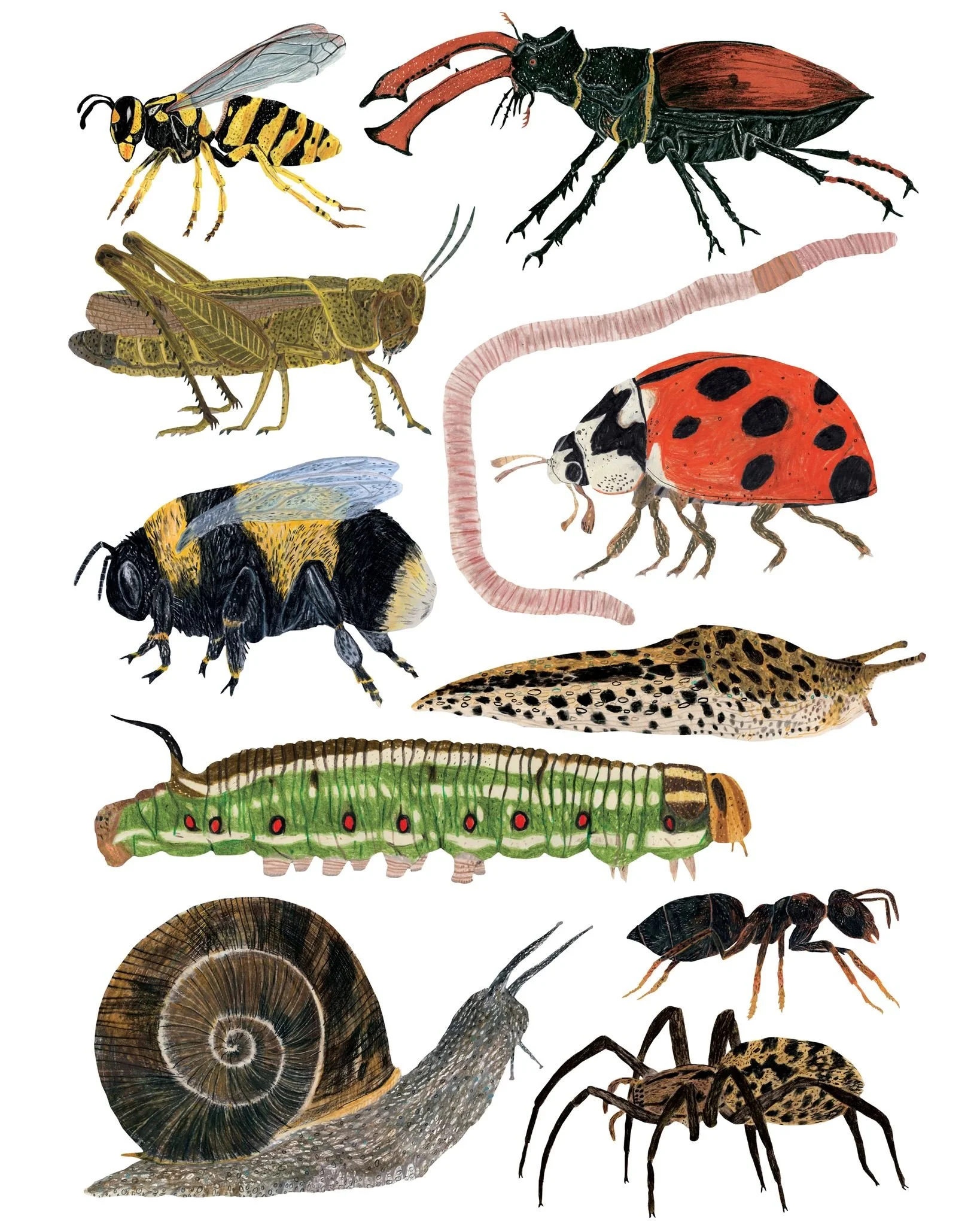 Garden life. Another new design that should be available from next week!

 #illustration #bugs #ladybug #bumblebee #insects