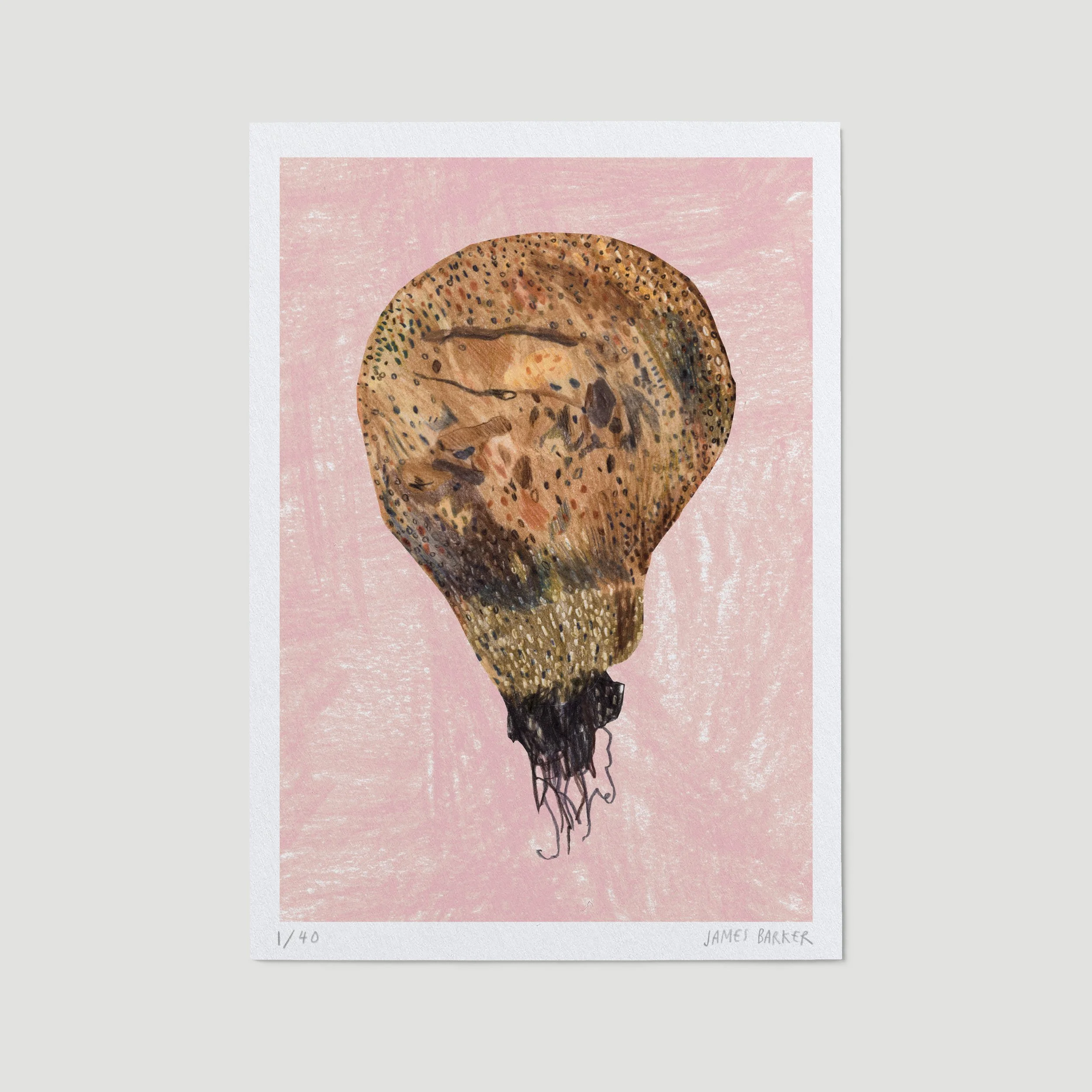 P-1-mushroom-ltd-A5.jpg