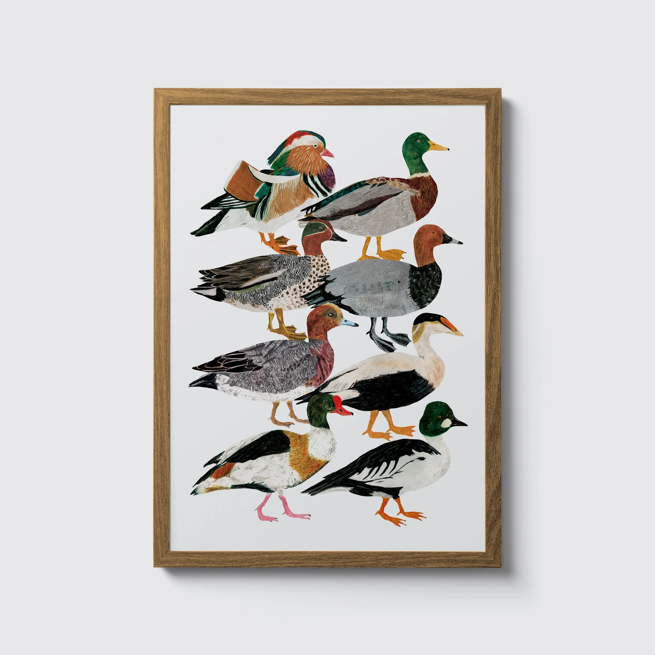 ducks-framed.jpg
