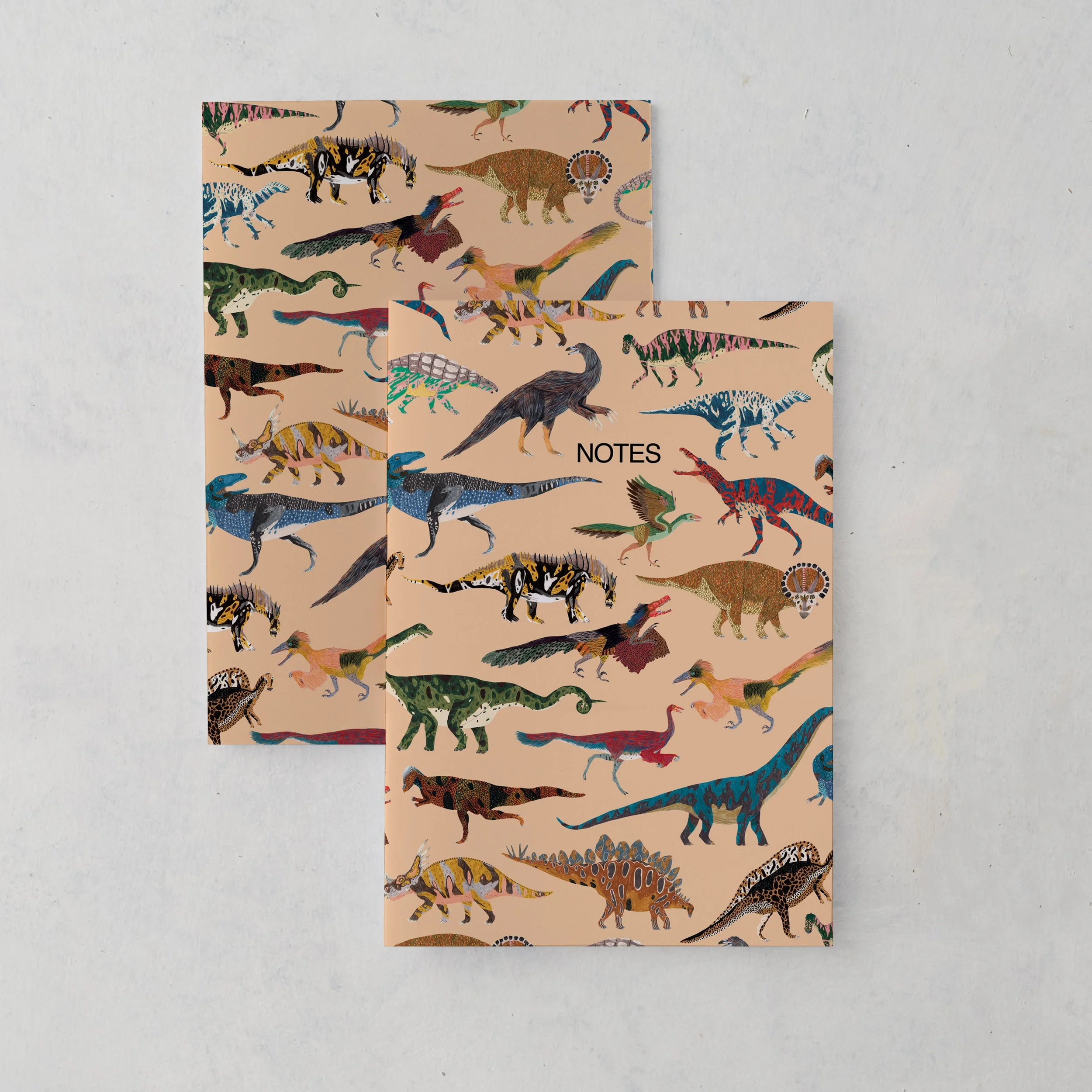 Dinosaur-Notebook-no-banner.jpg