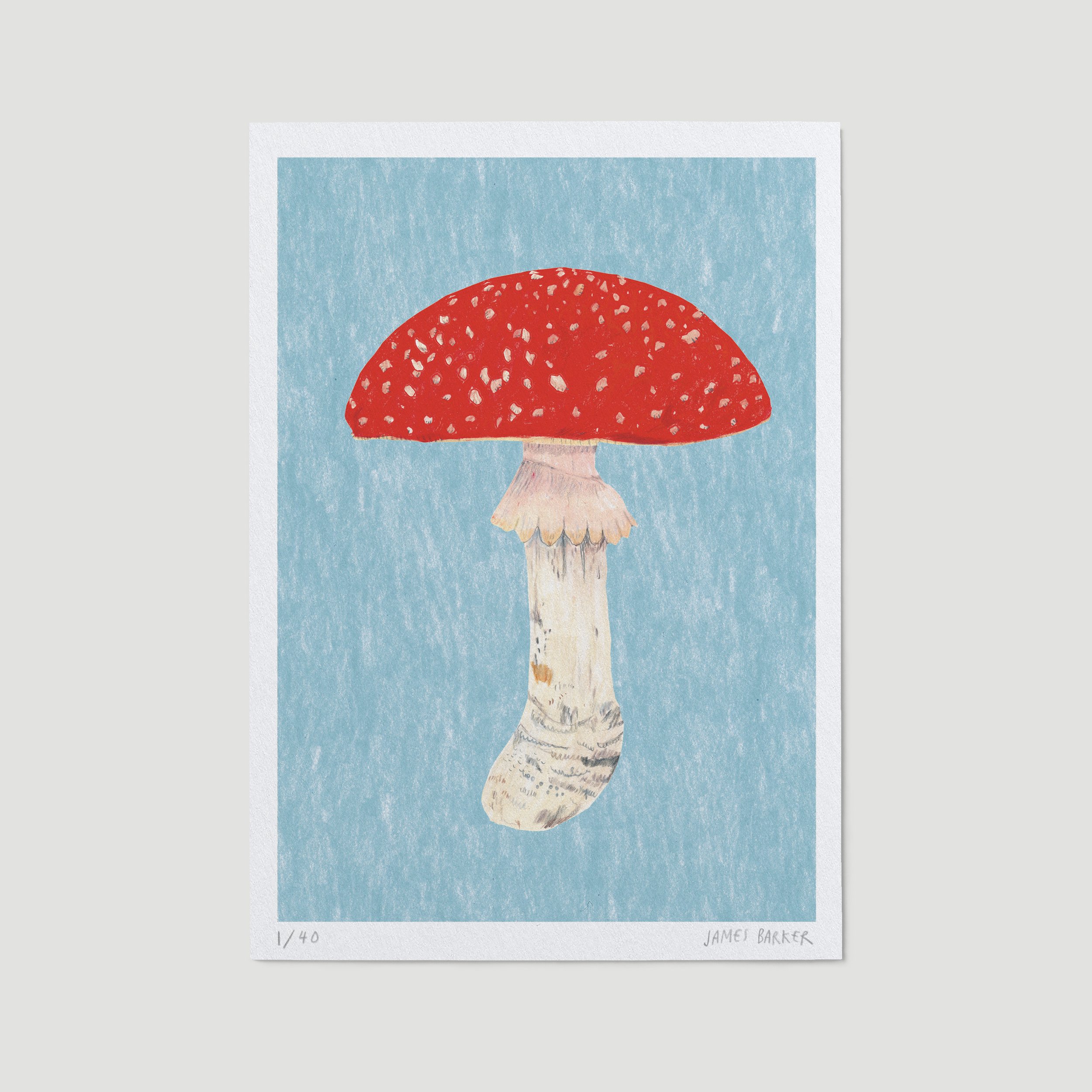 E-2-mushroom-ltd-A5.jpg