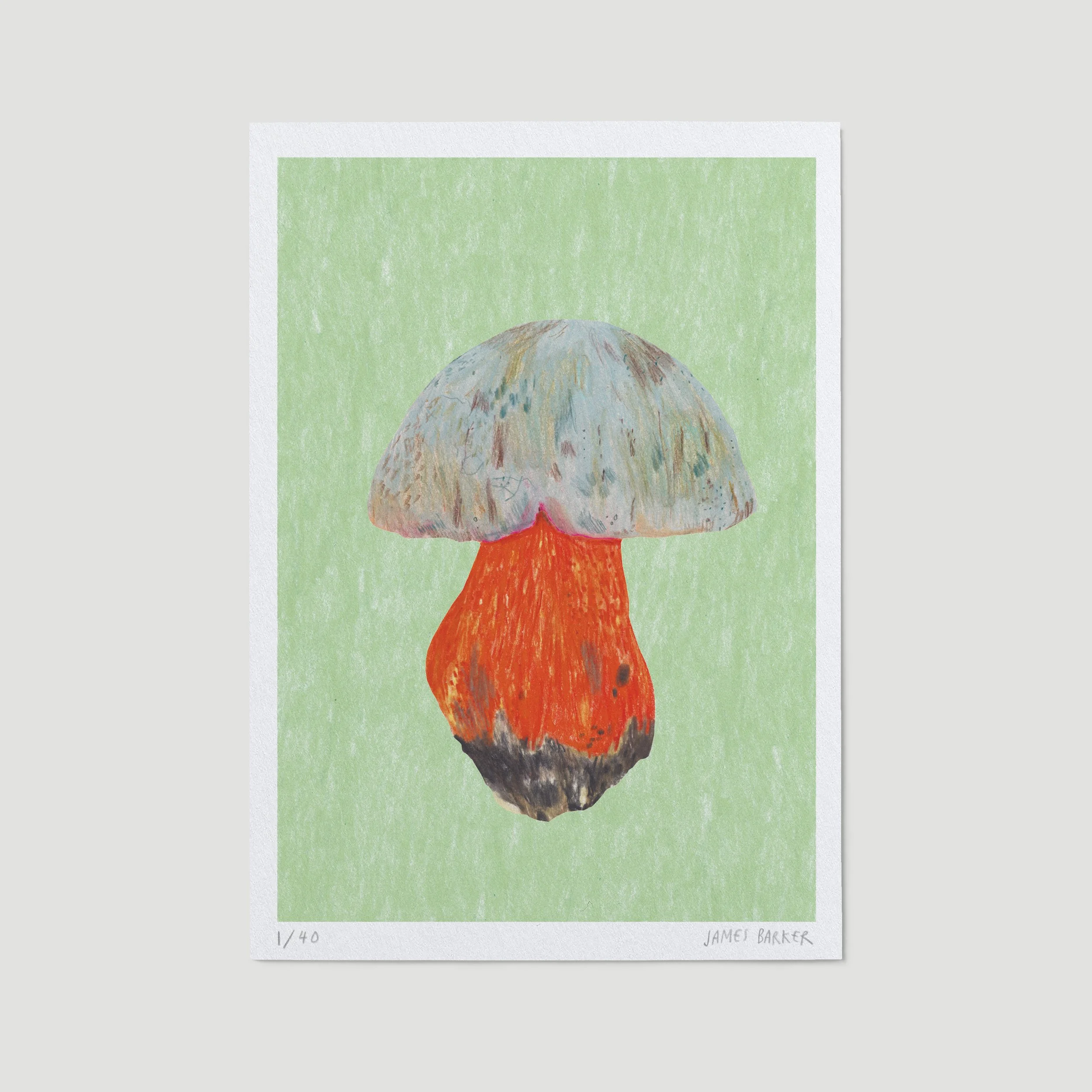 D-2-mushroom-ltd-A5.jpg