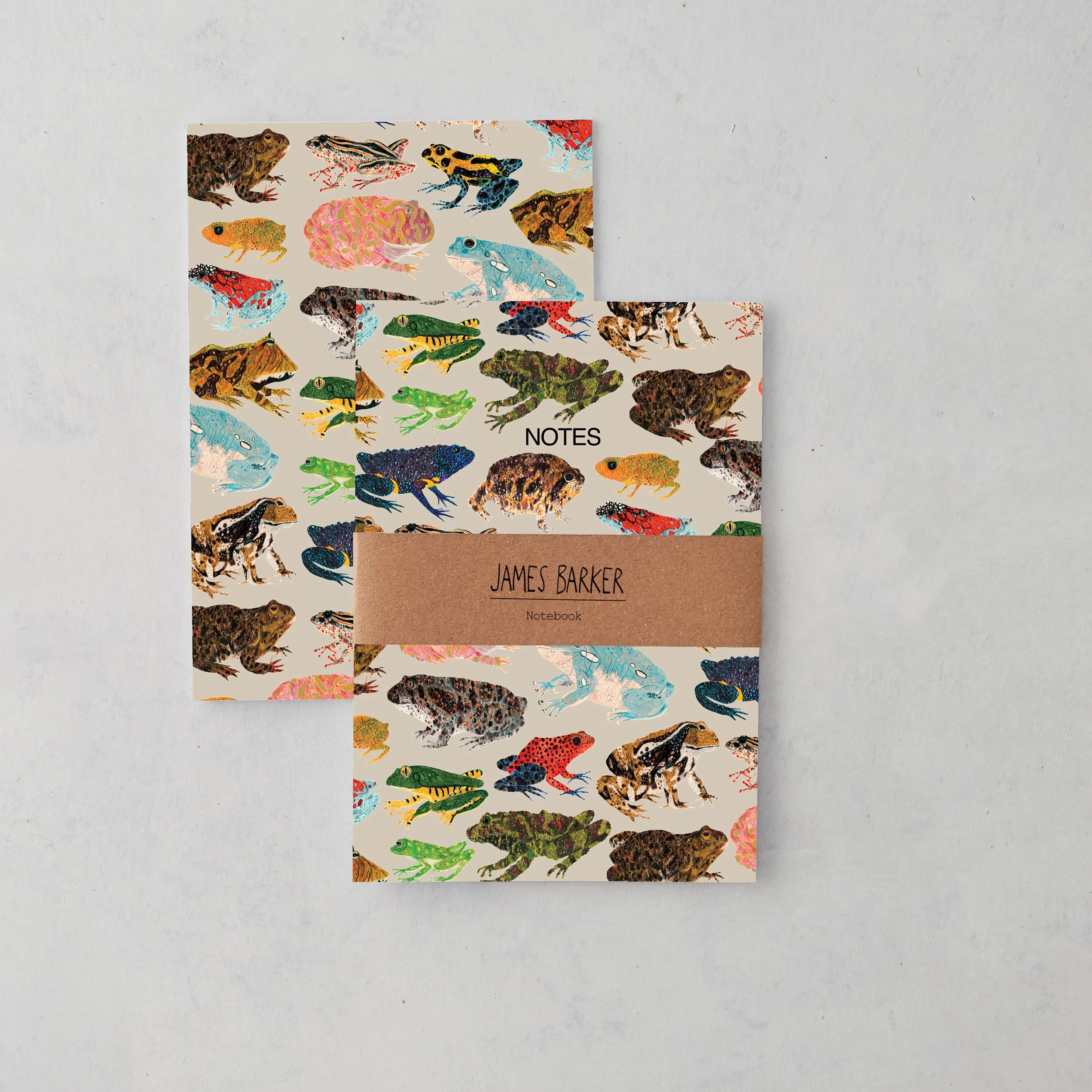 frogs-notebooks-single-front-and-reverse.jpg