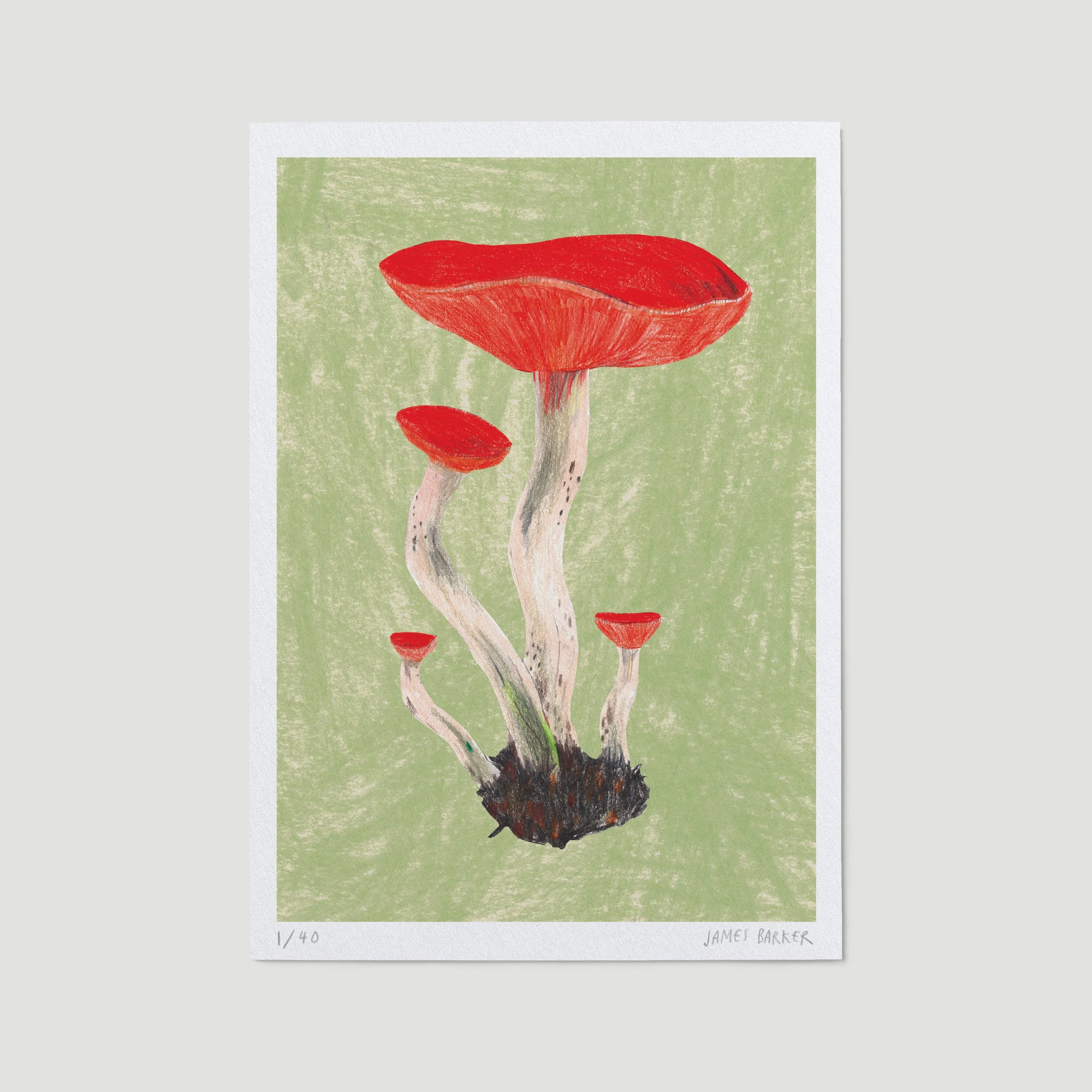Q-1-mushroom-ltd-A5.jpg