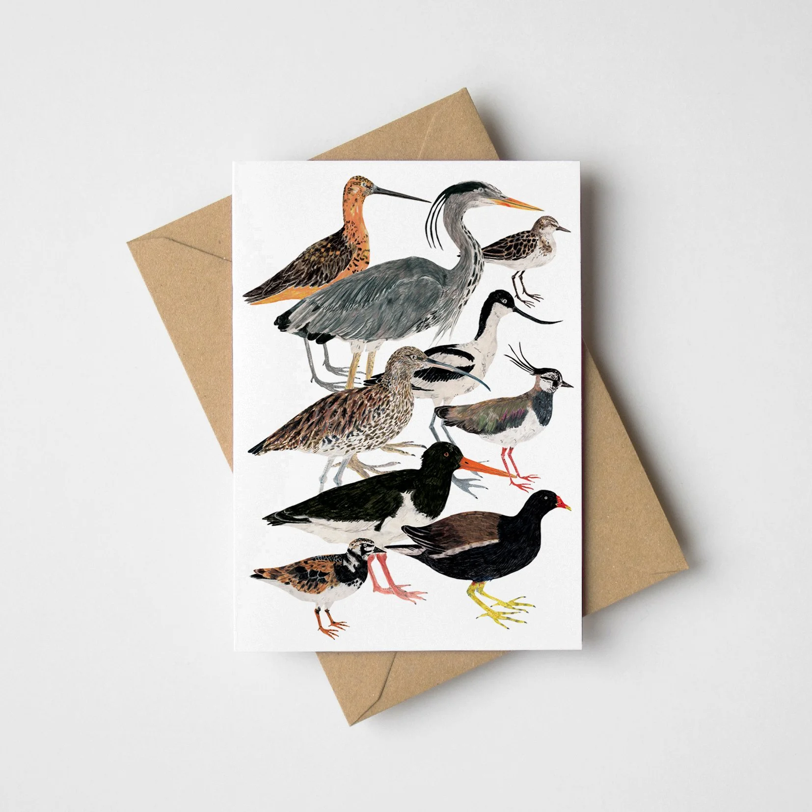 wading-birds-greeting-card-web.jpg