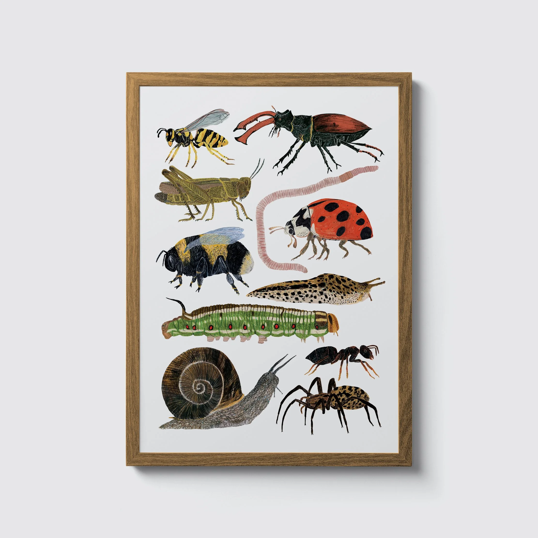 garden-creatures-framed.jpg