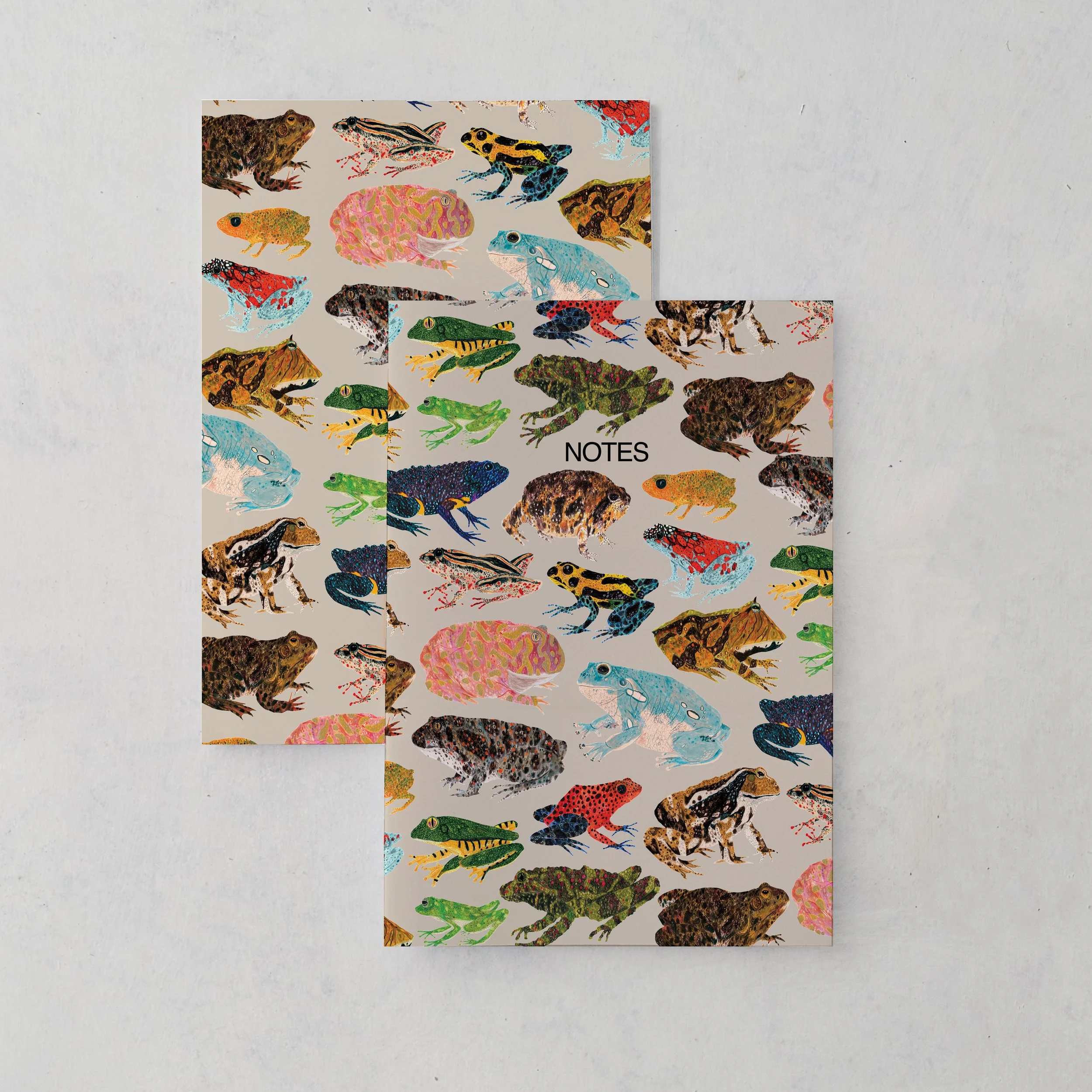 frogs-Notebooks.jpg