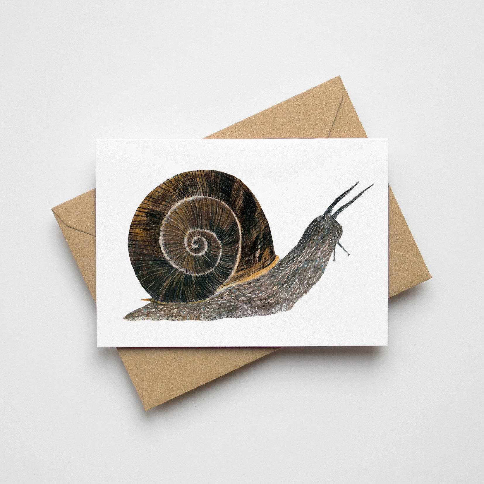 mini-card-snail.jpg