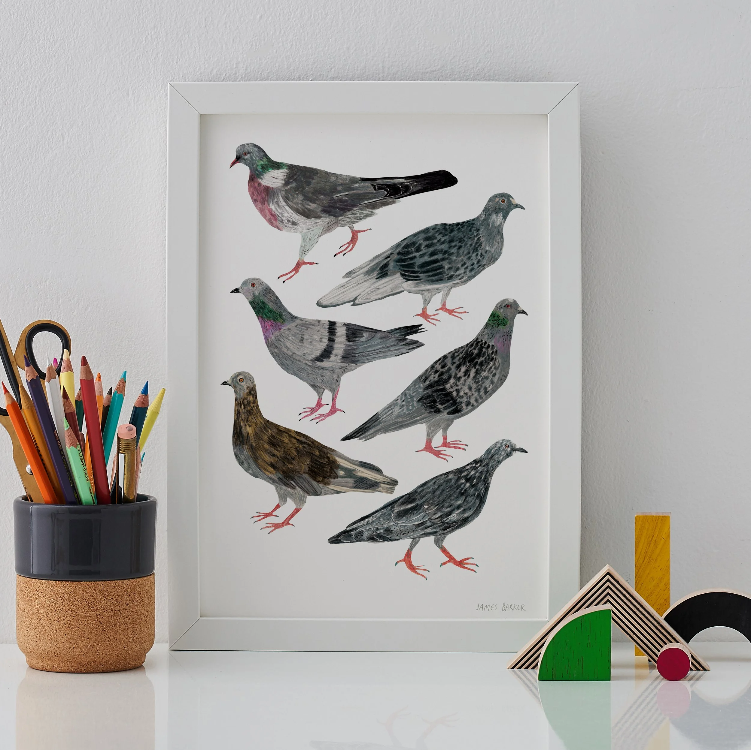 Pigeons-Print-White-Frame.jpg