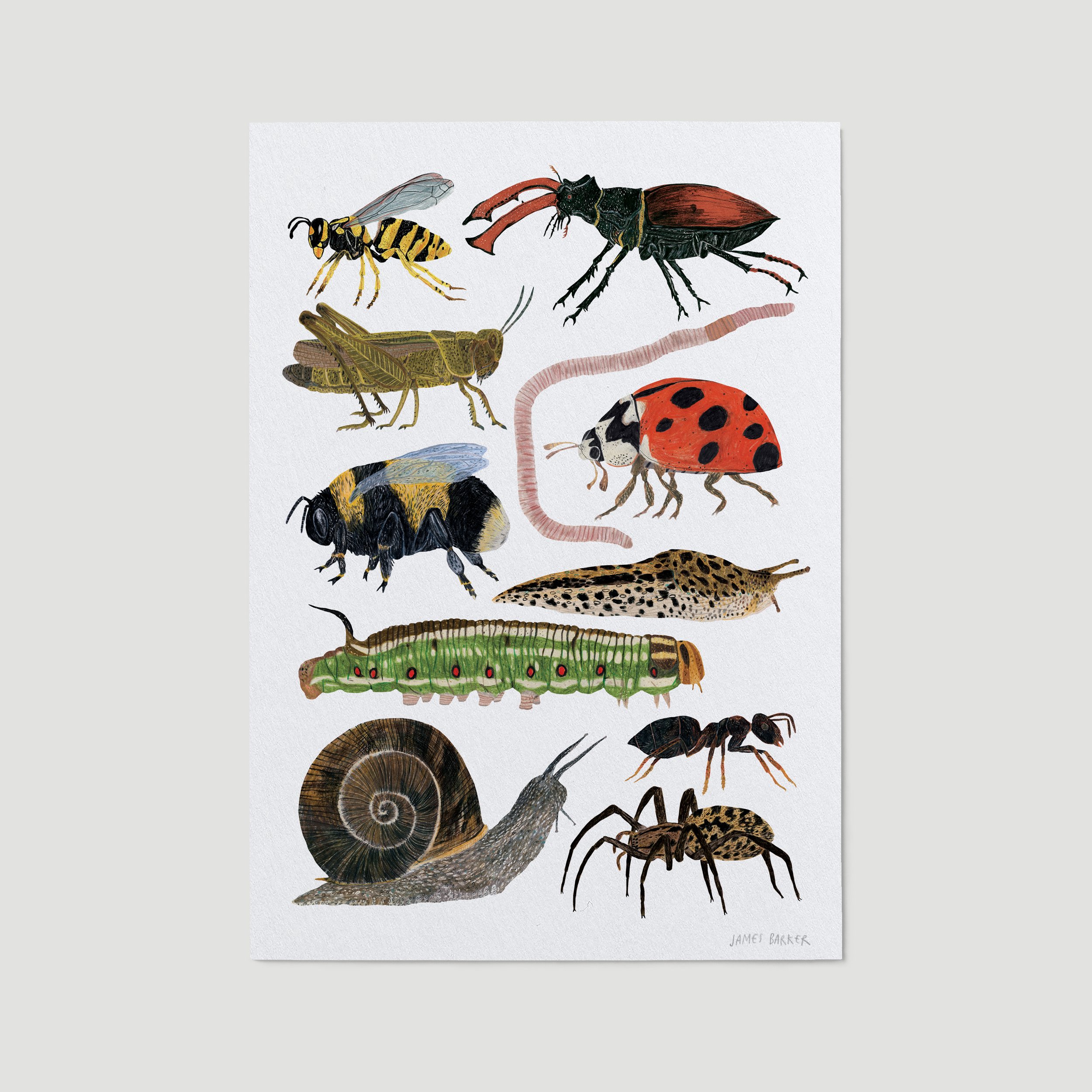 garden-creatures--white-background.jpg