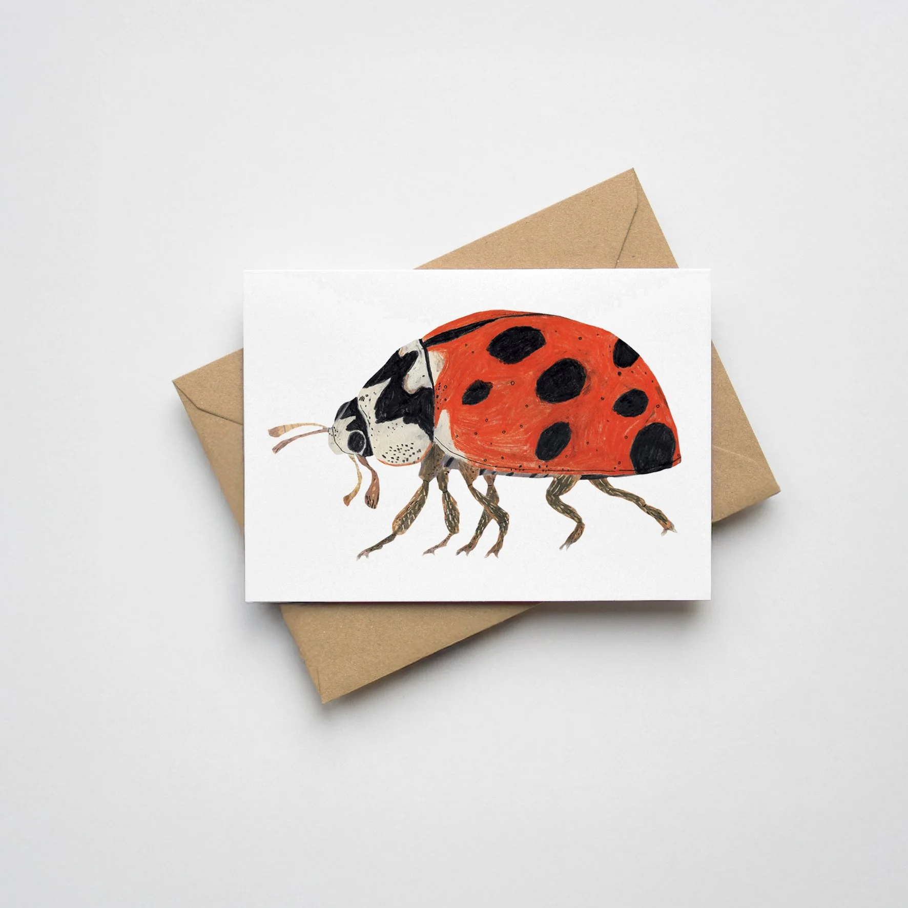 Mini Ladybird Greeting Card