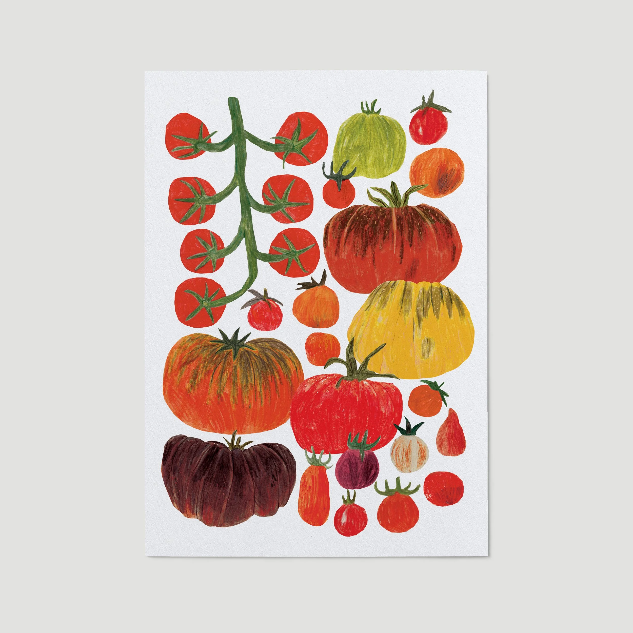tomatoes-tomatoes-print-no-background-web.jpg