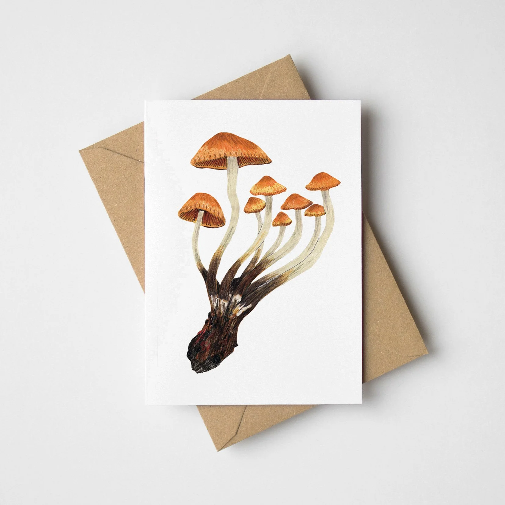 mushroomC-mini-card-web.jpg