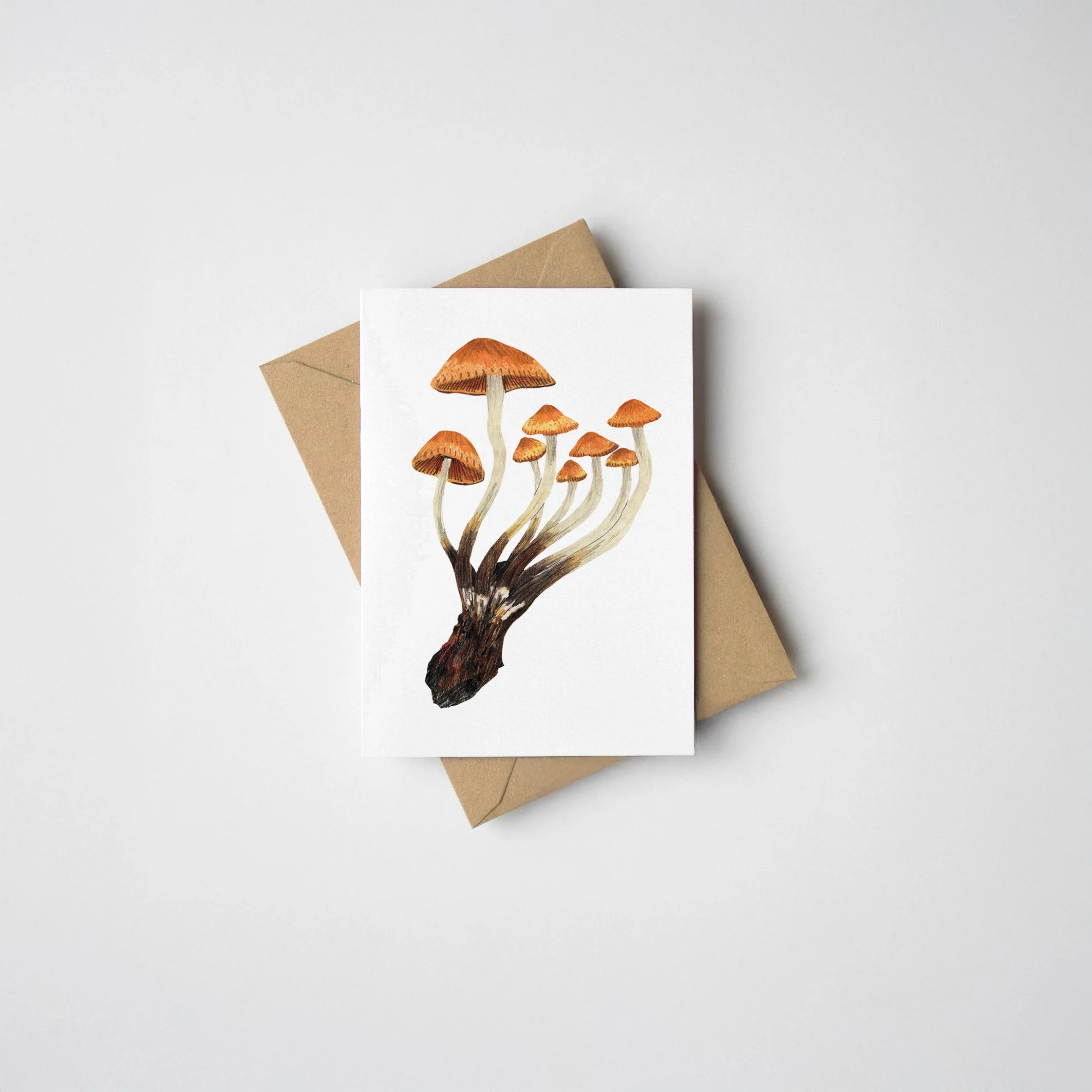 mini-mushroomC-mini-card-web.jpg