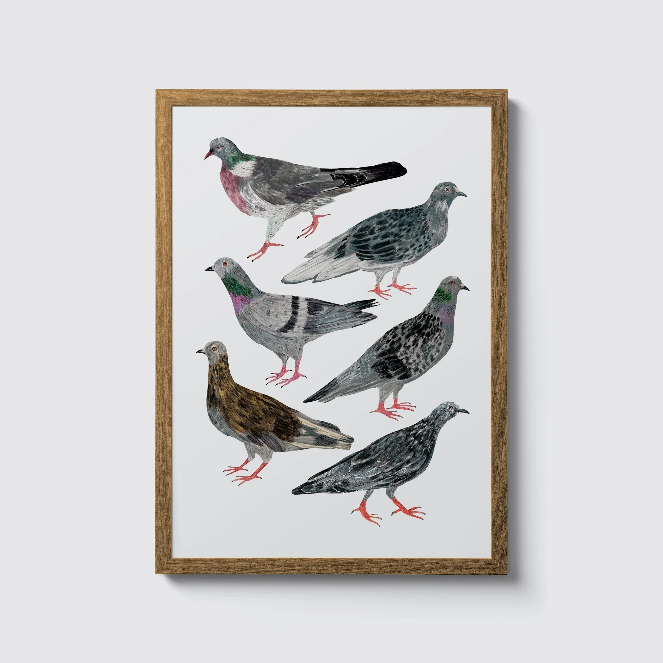 Pigeons-Framed-A3.jpg