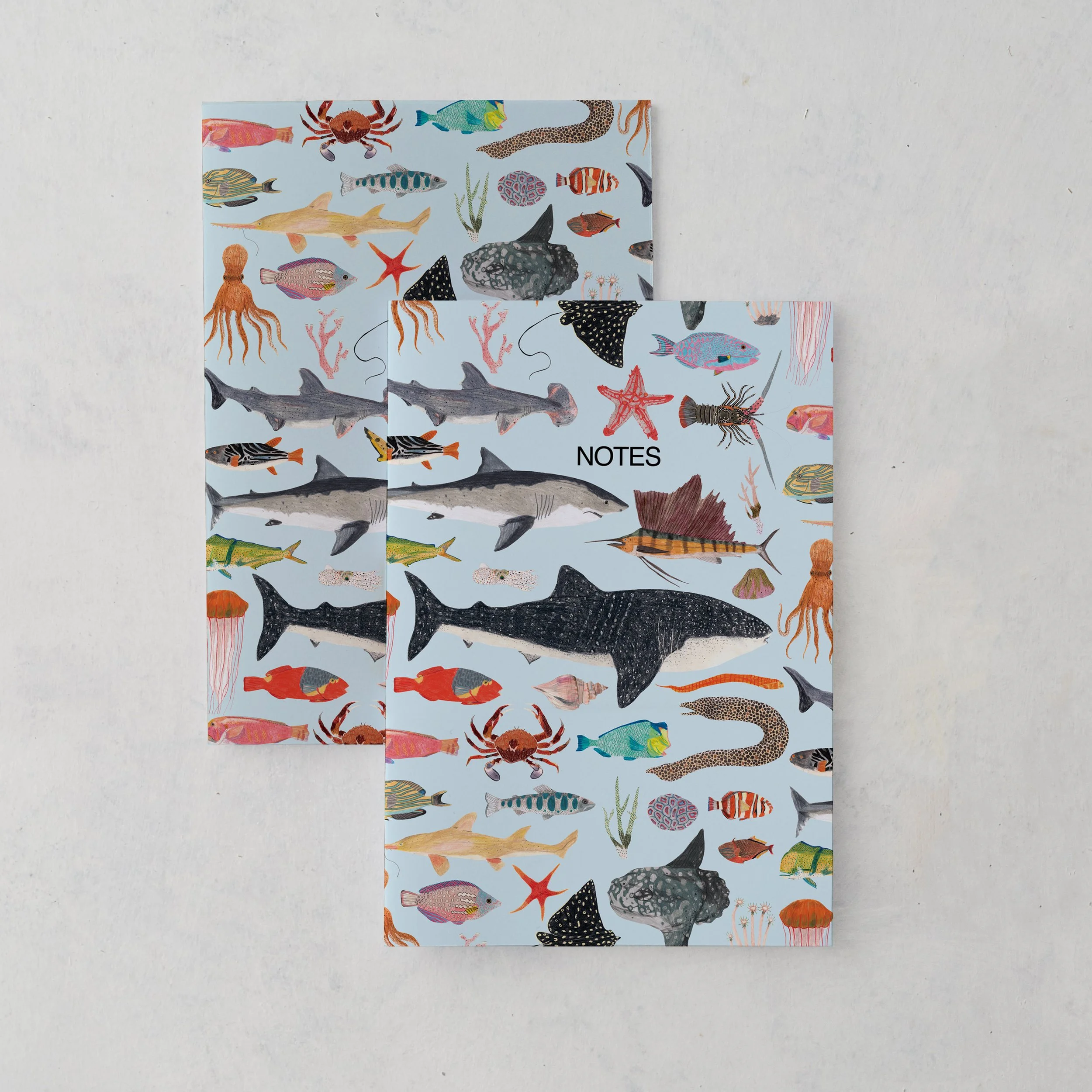 Sea-Life-Notebook-no-banner.jpg