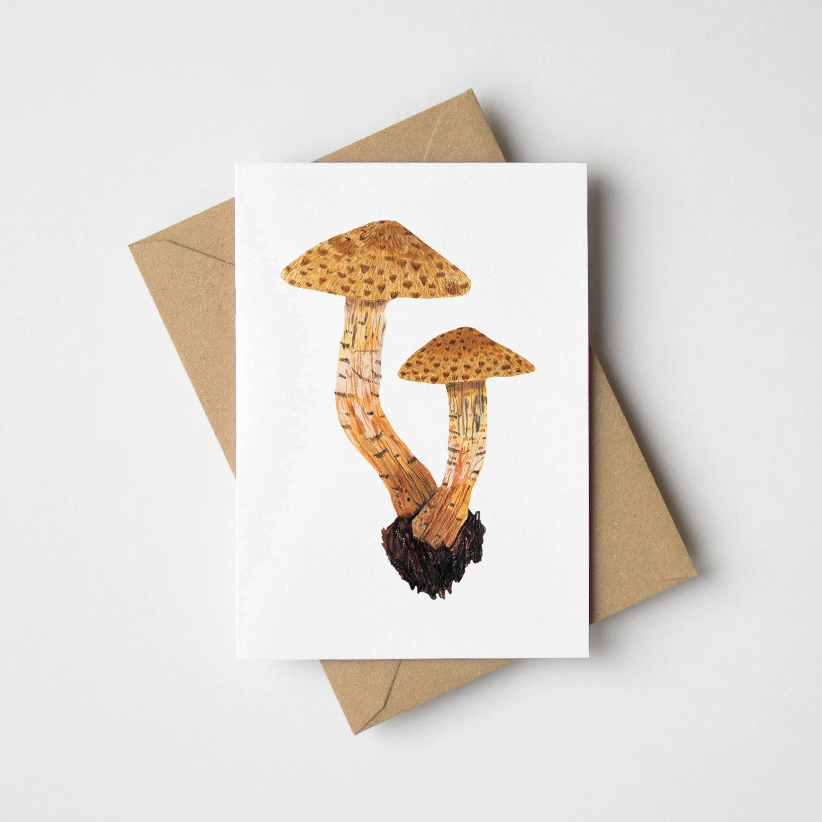 mushrooma-mini-card-web.jpg