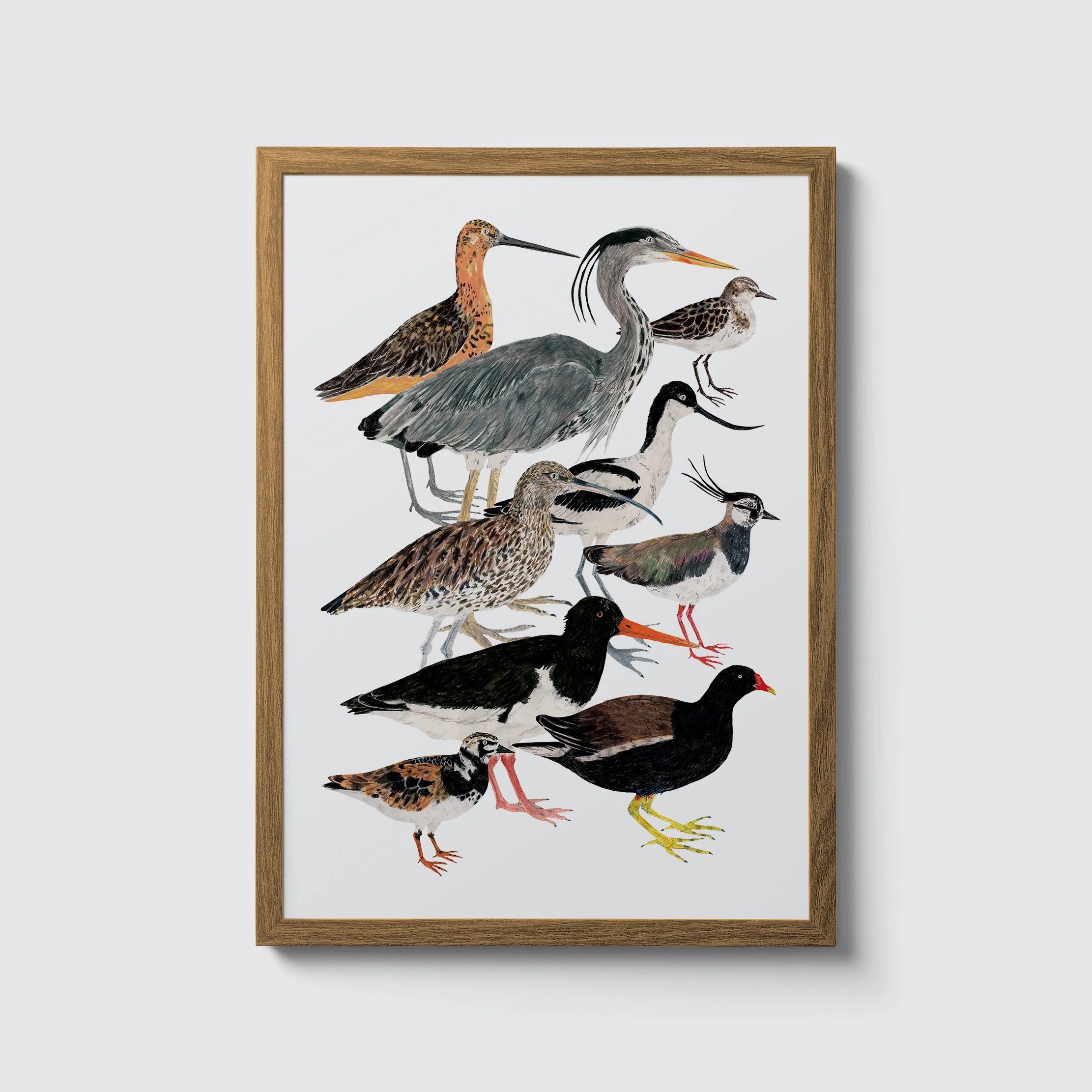 wading-birds-Framed-A3.jpg