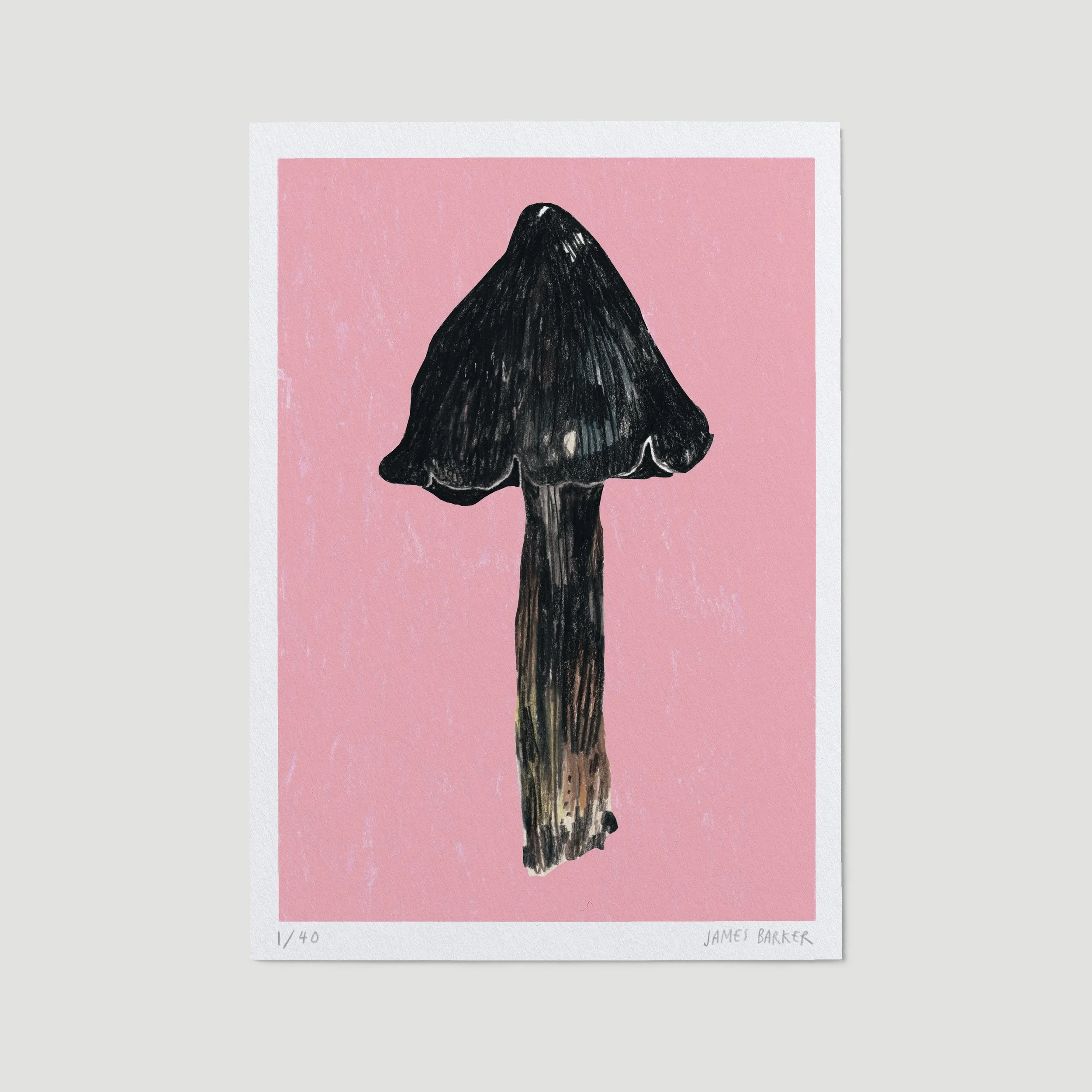T-1-mushroom-ltd-A5.jpg