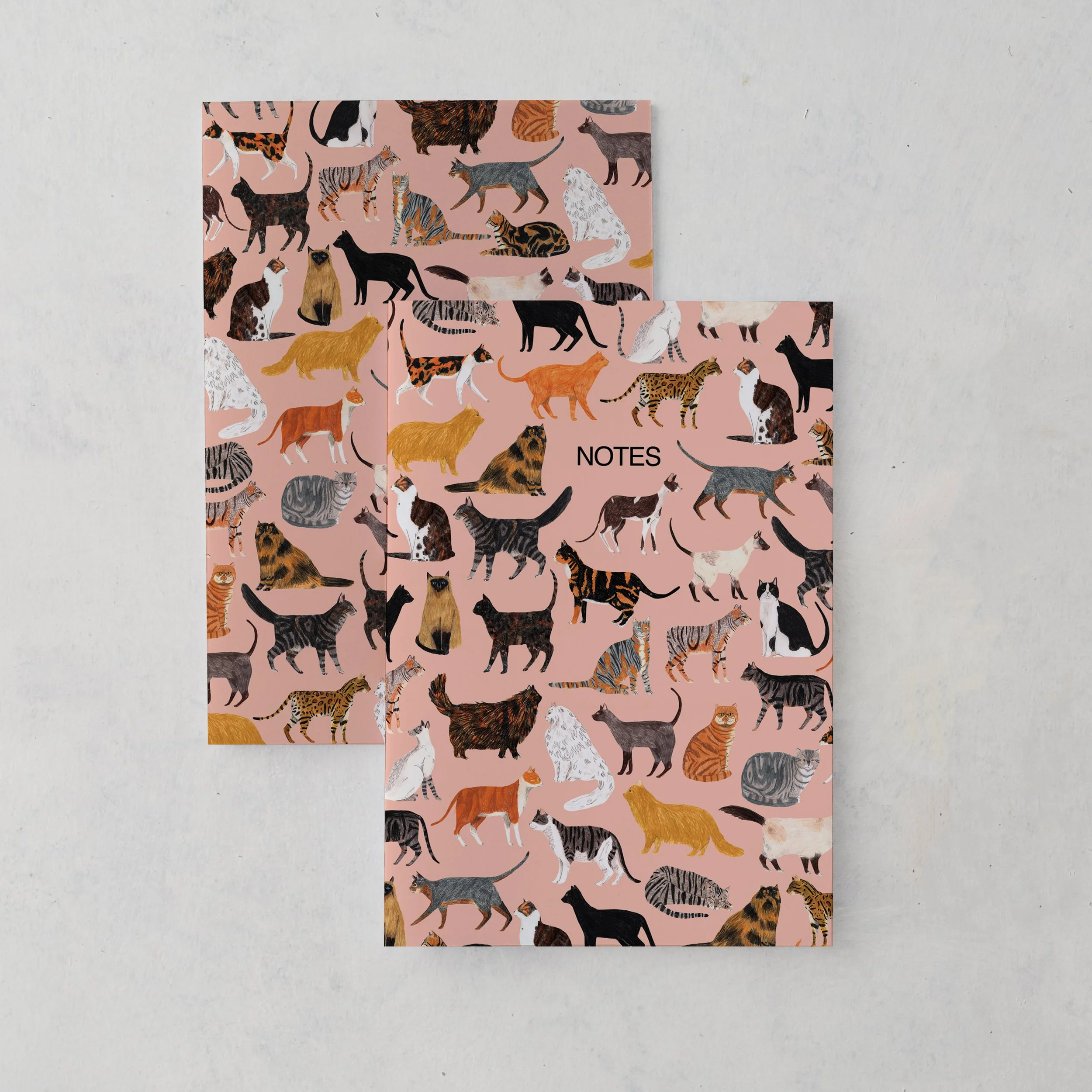 Cats-Notebook-no-banner.jpg