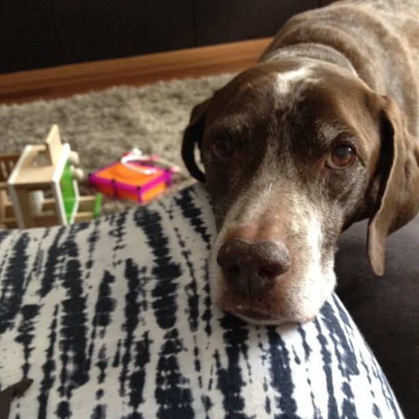 Can you get sweeter than this face?