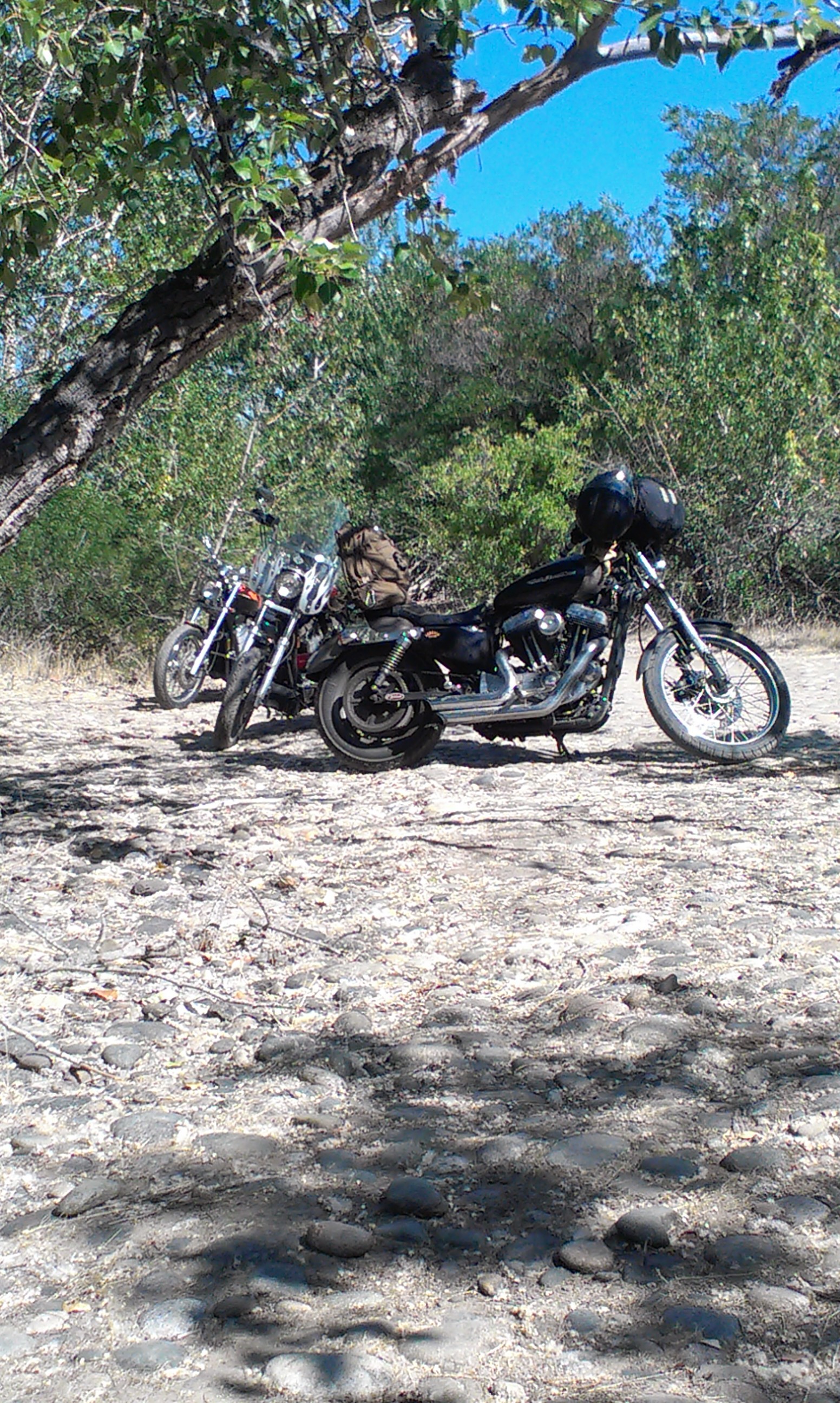 IMAG0446.jpg