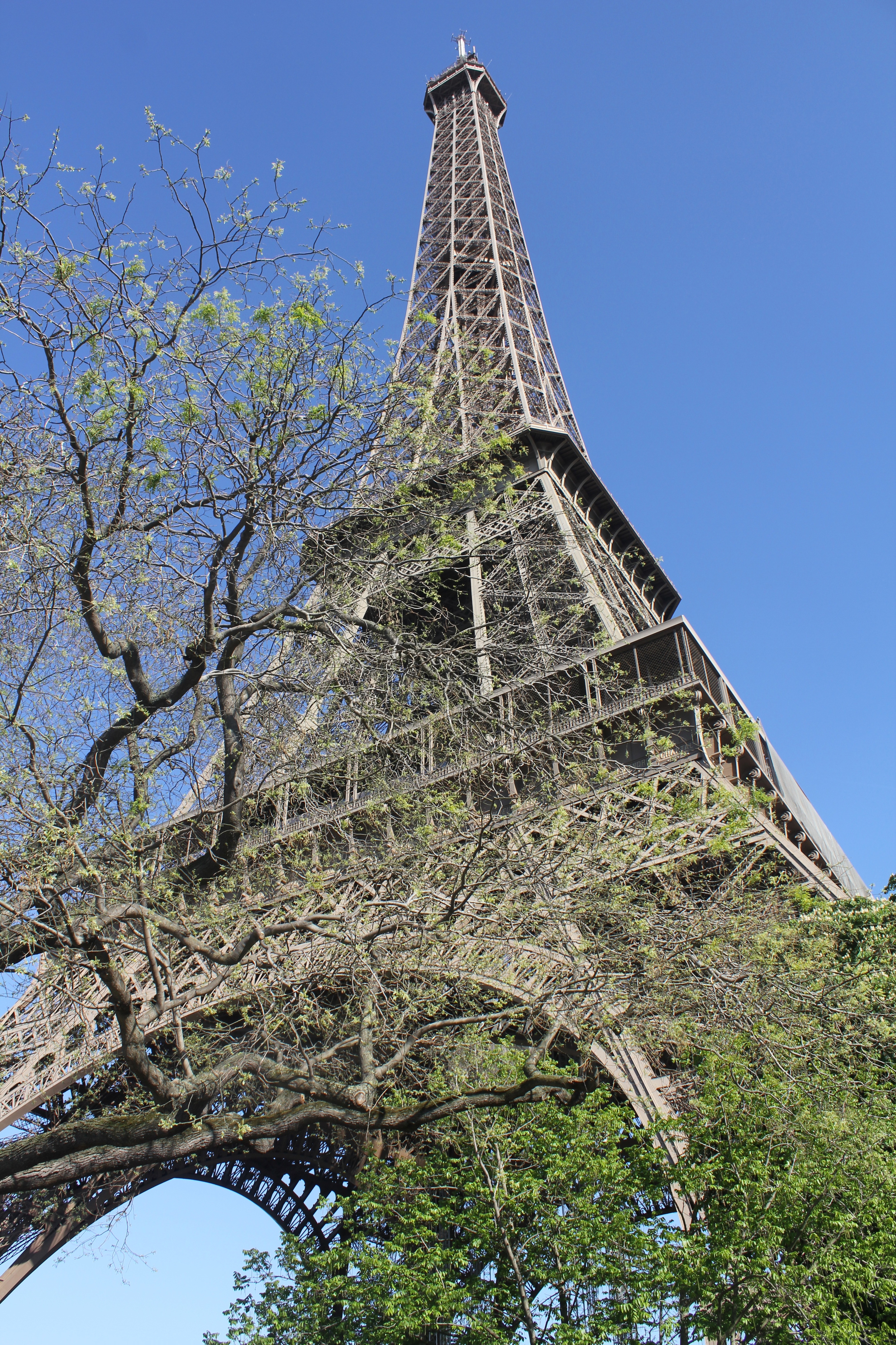 The Eiffel Tower of course 