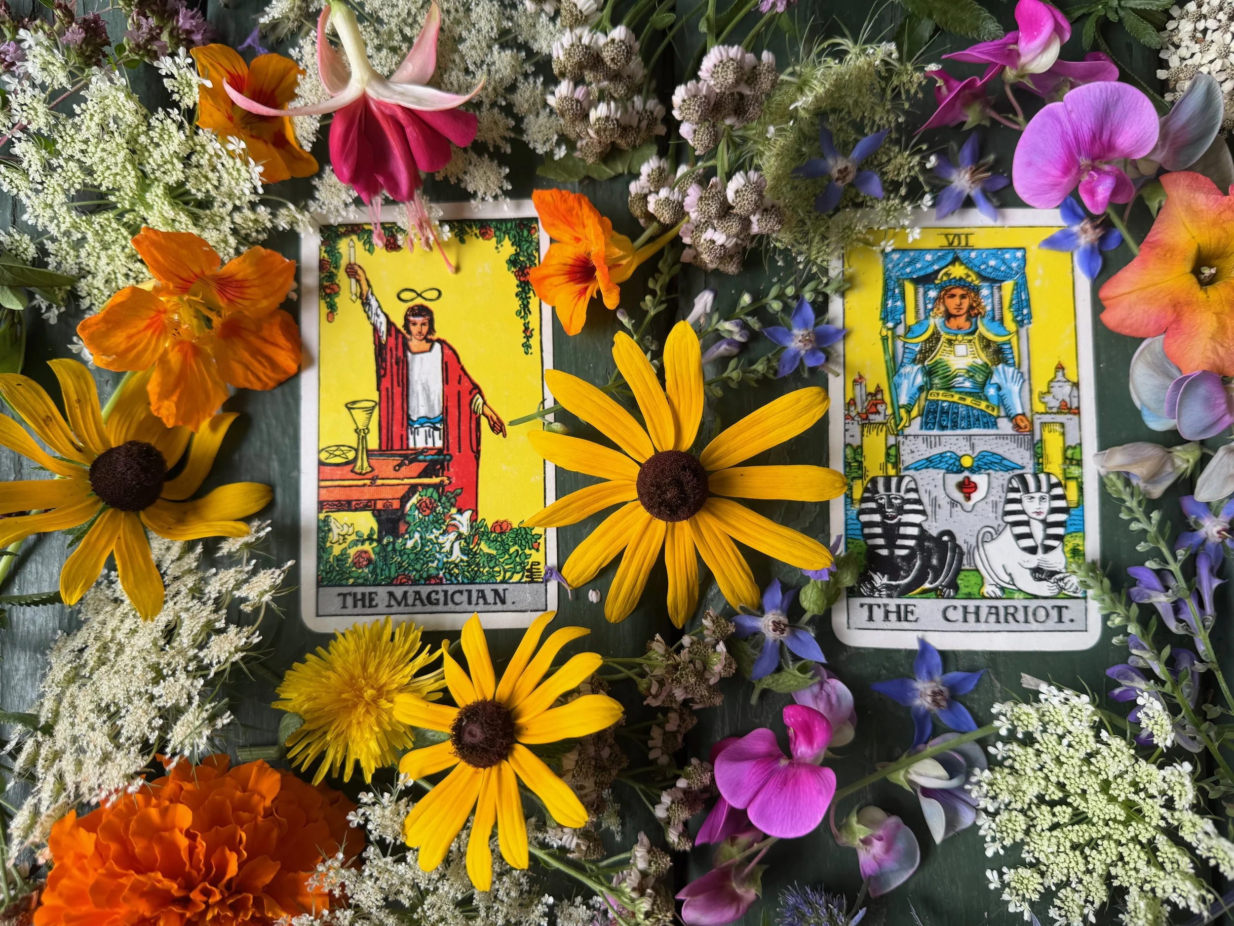 The Magician and the Chariot cards from the Smith-Waite tarot, surrounded by flowers.