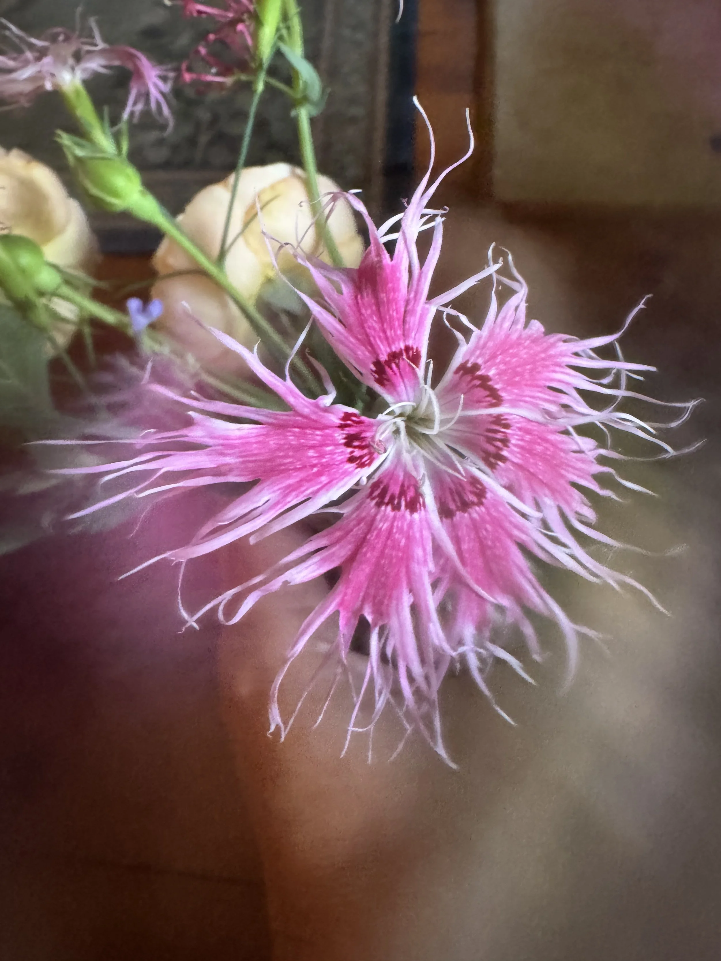 IMG_1653.jpeg