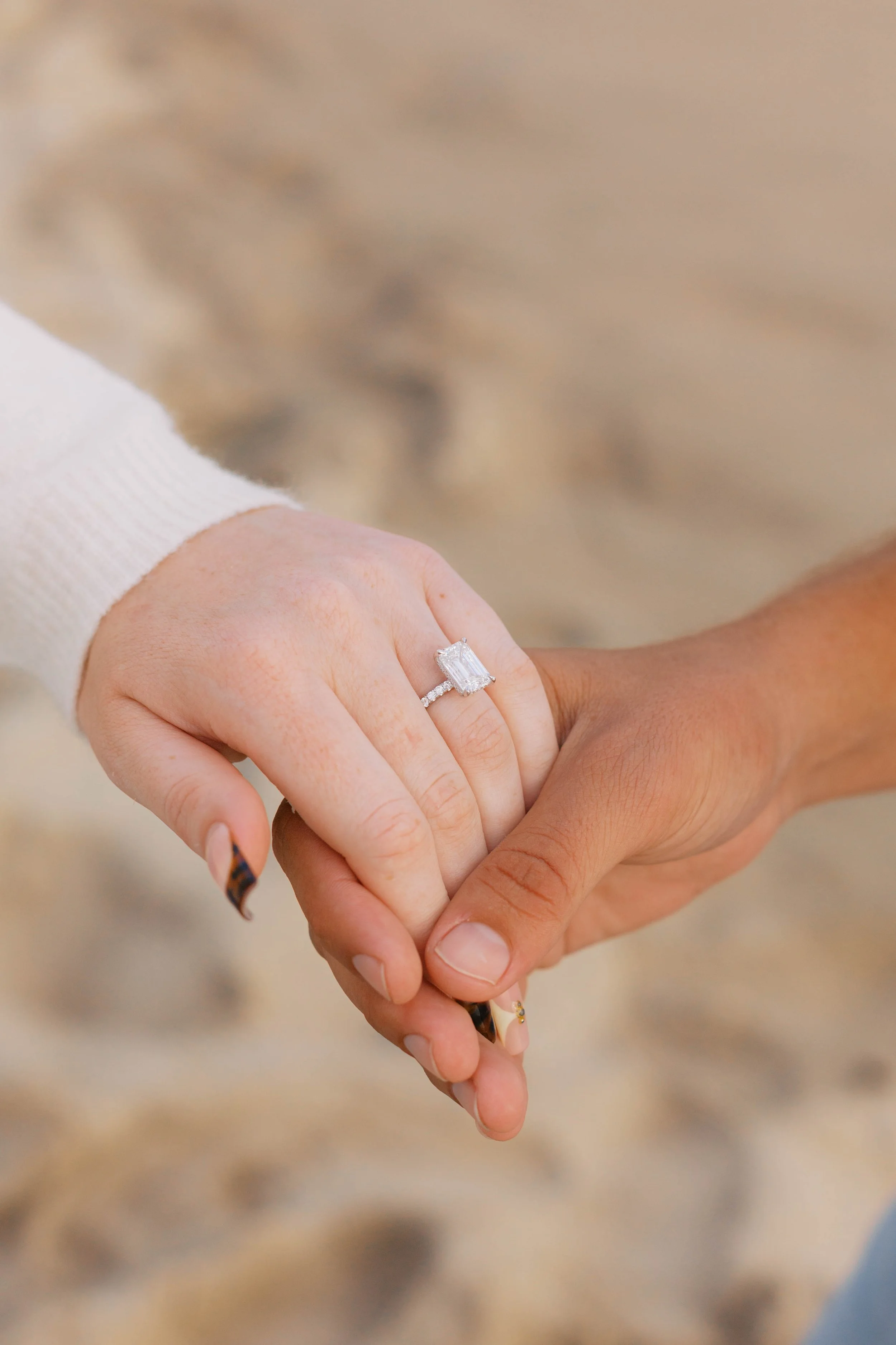 laguna-beach-proposal-photographer-alissa-noelle-photography-53.jpg