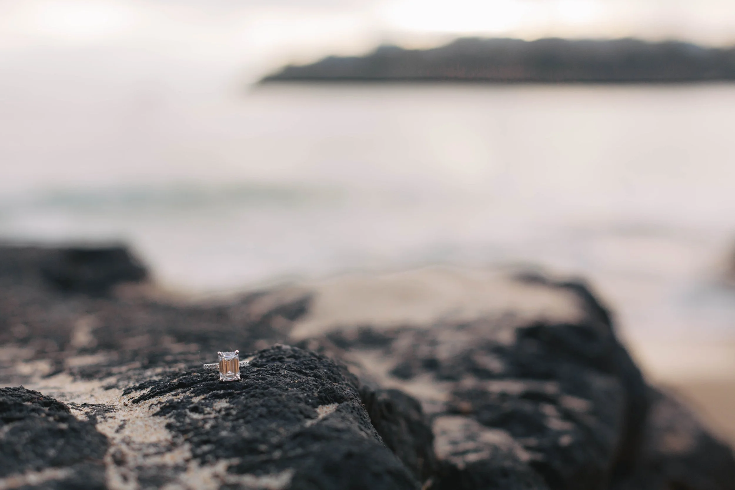 laguna-beach-proposal-photographer-alissa-noelle-photography-97.jpg