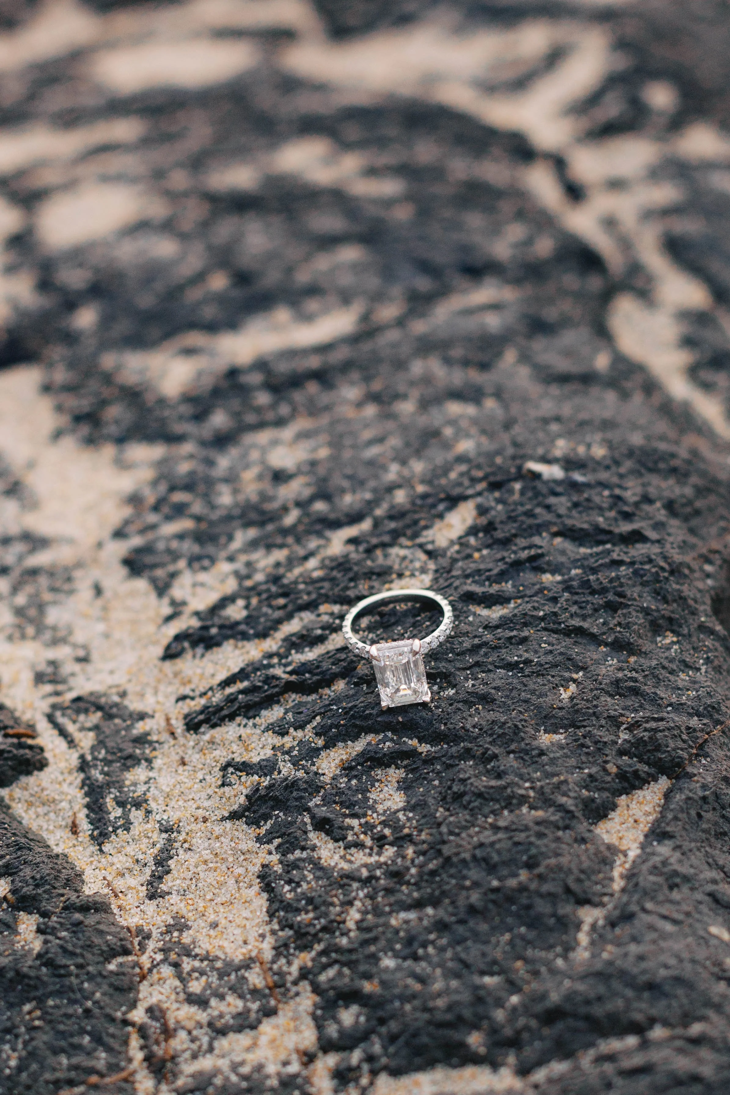 laguna-beach-proposal-photographer-alissa-noelle-photography-98.jpg