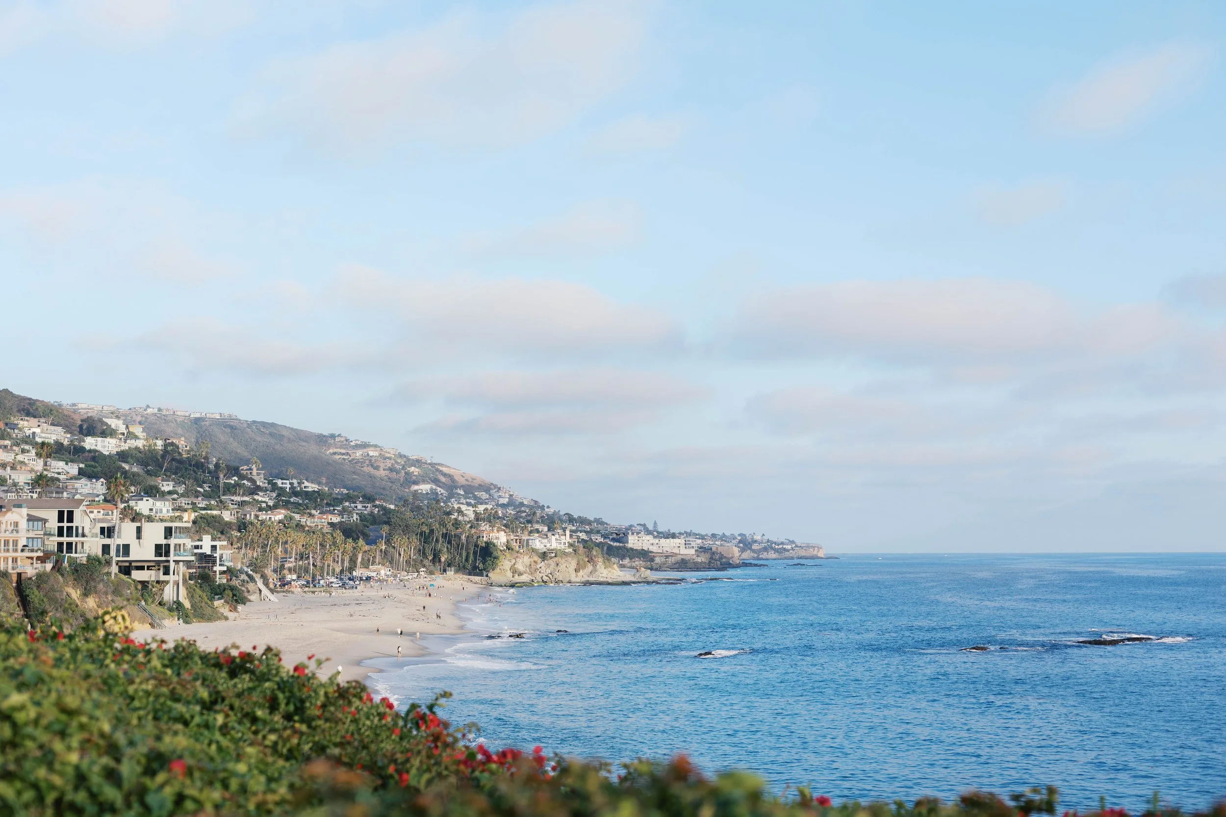 laguna-beach-proposal-photographer-alissa-noelle-photography-2.jpg