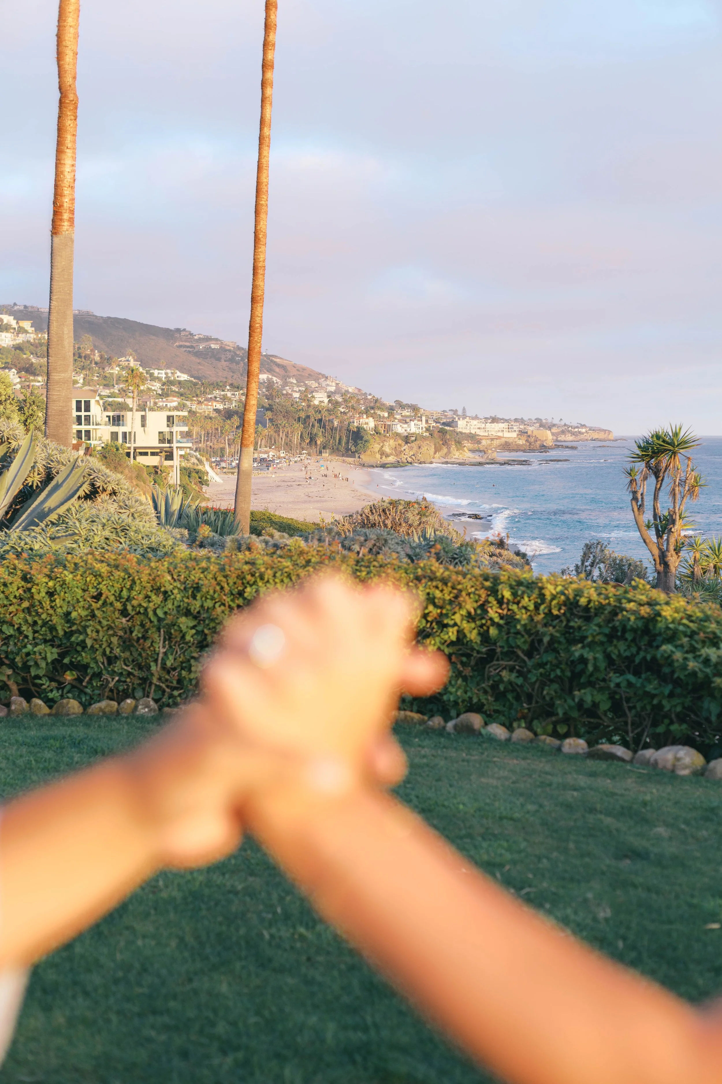 laguna-beach-proposal-photographer-alissa-noelle-photography-32.jpg