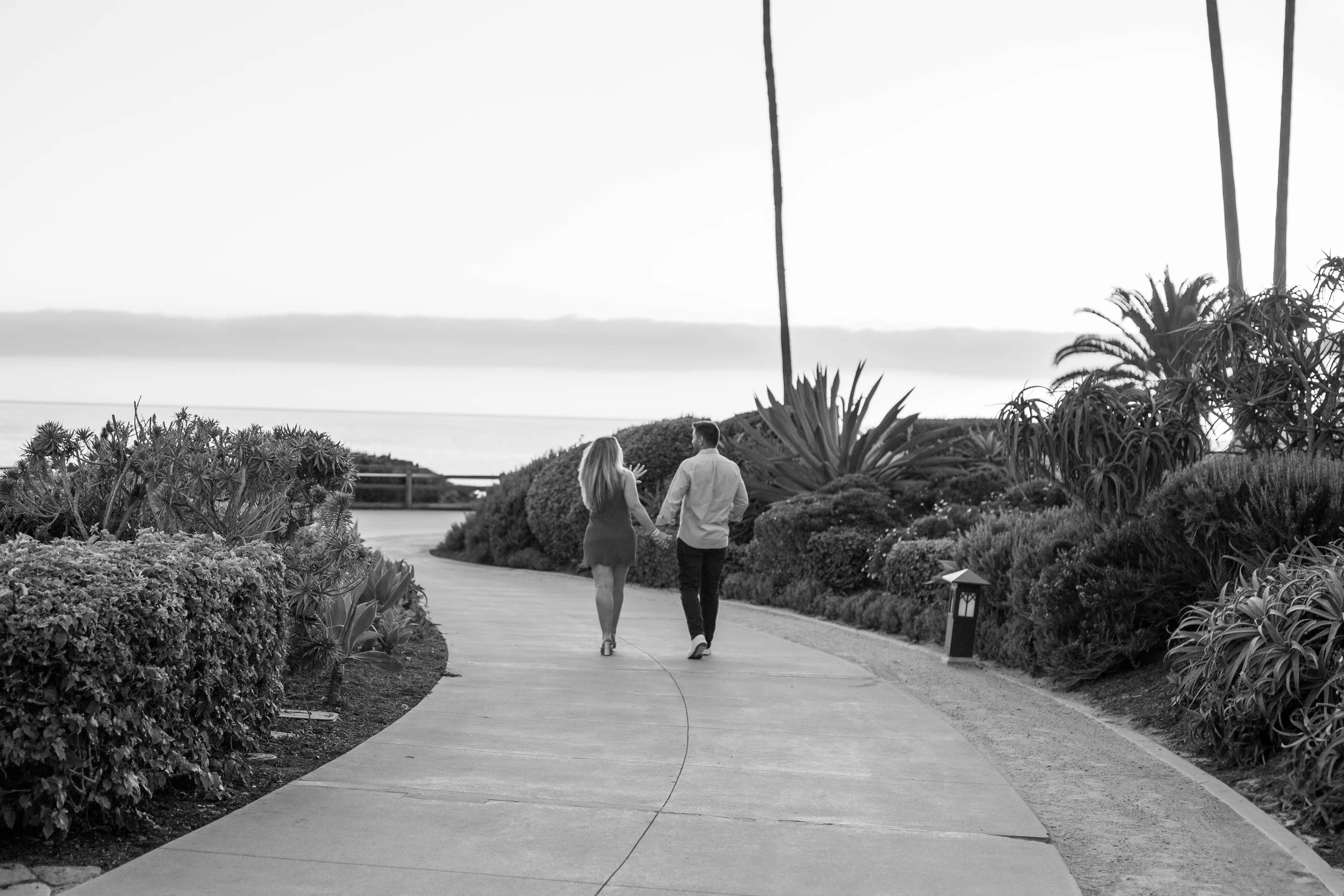 laguna-beach-proposal-photographer-alissa-noelle-photography-38.jpg