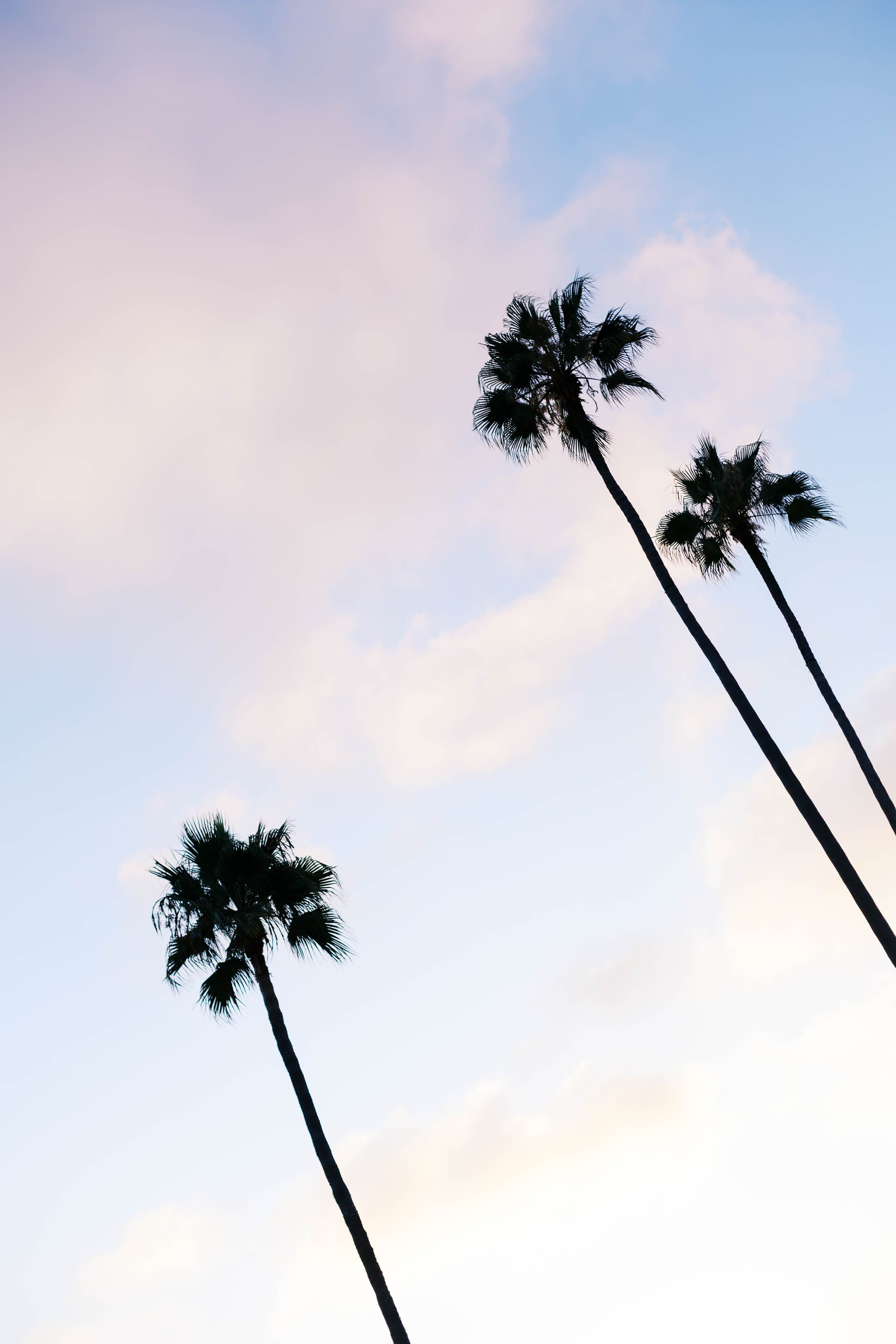 laguna-beach-proposal-photographer-alissa-noelle-photography-41.jpg