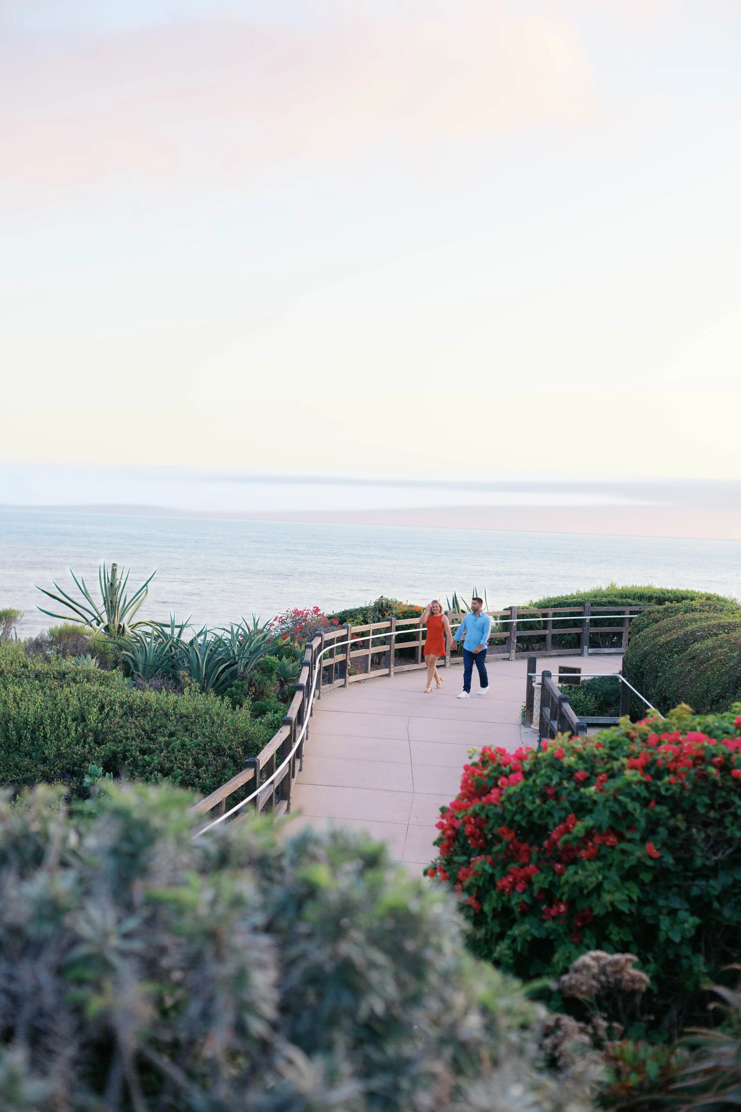 laguna-beach-proposal-photographer-alissa-noelle-photography-42.jpg