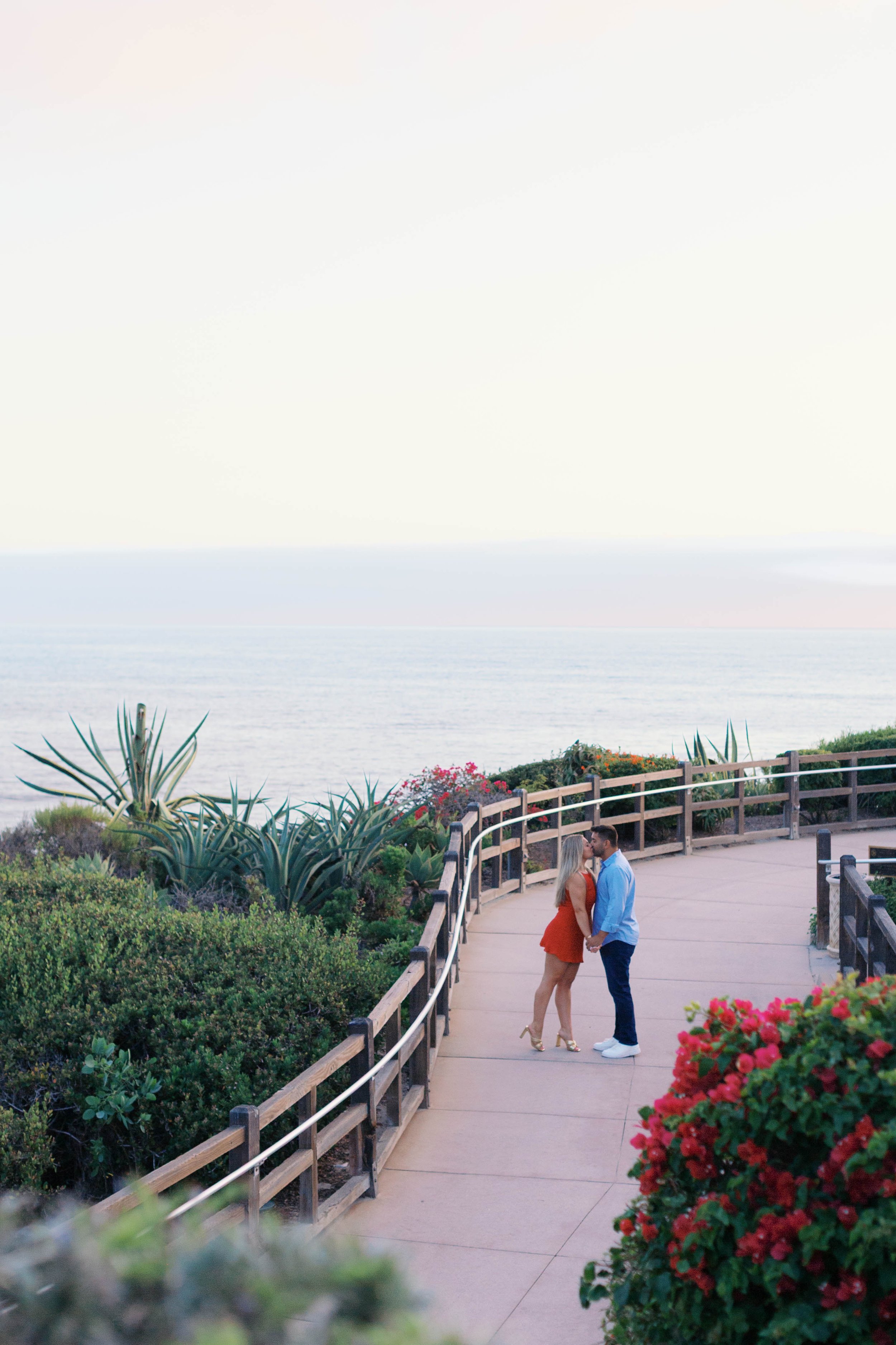 laguna-beach-proposal-photographer-alissa-noelle-photography-43.jpg