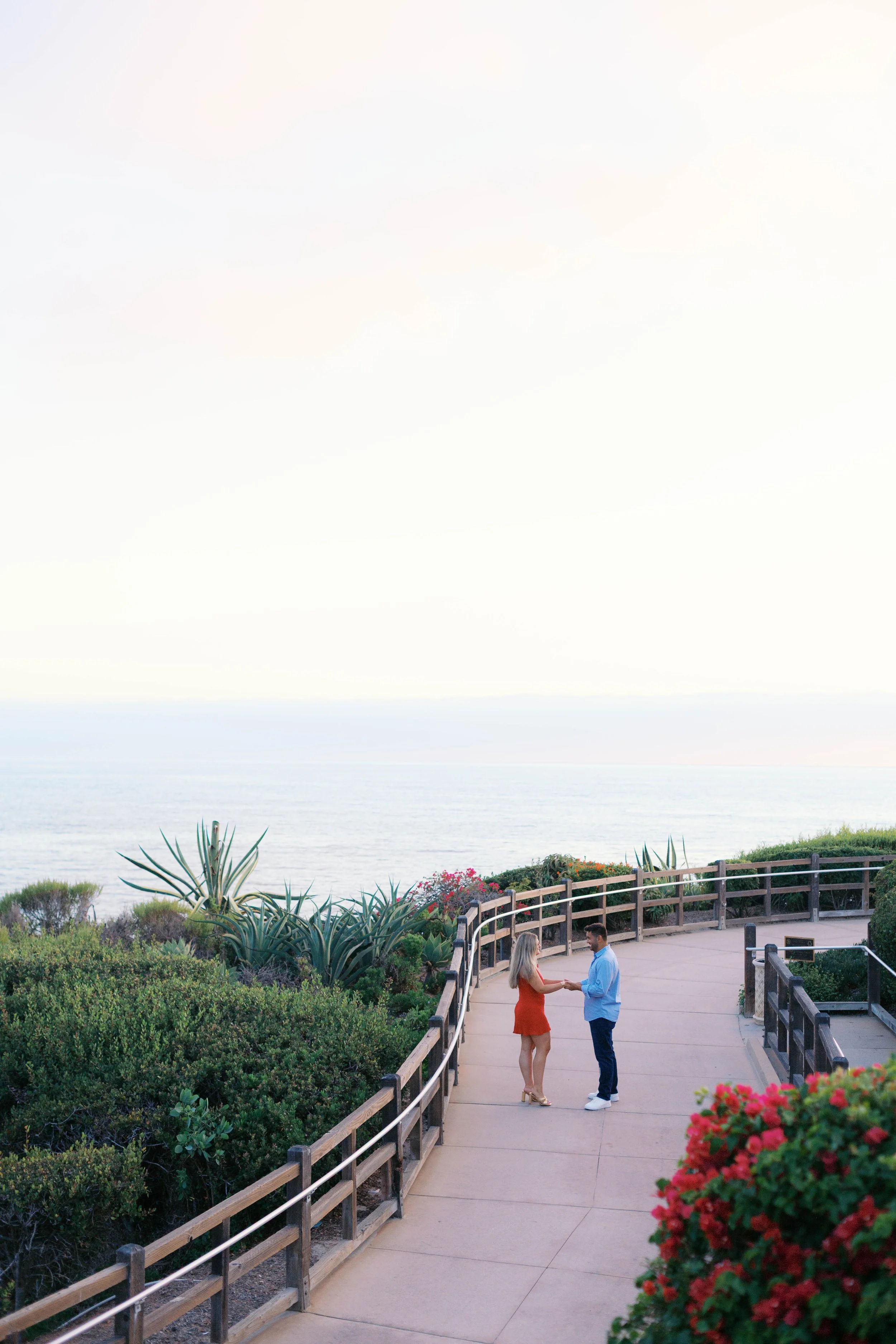 laguna-beach-proposal-photographer-alissa-noelle-photography-44.jpg