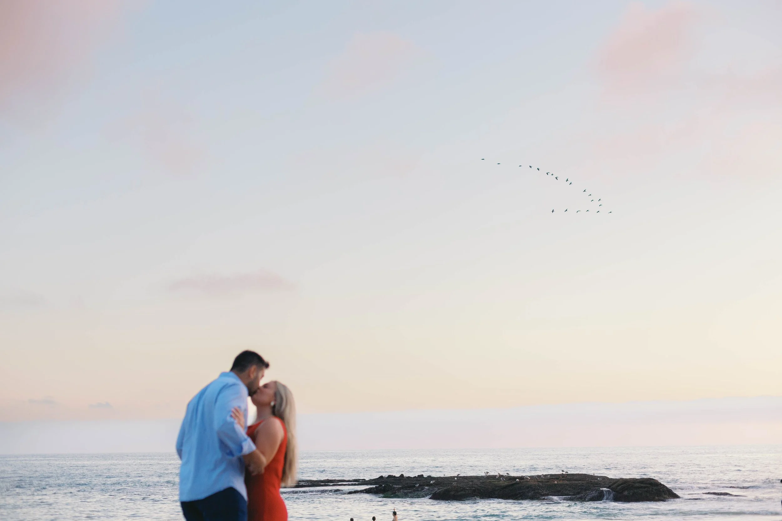 laguna-beach-proposal-photographer-alissa-noelle-photography-47.jpg