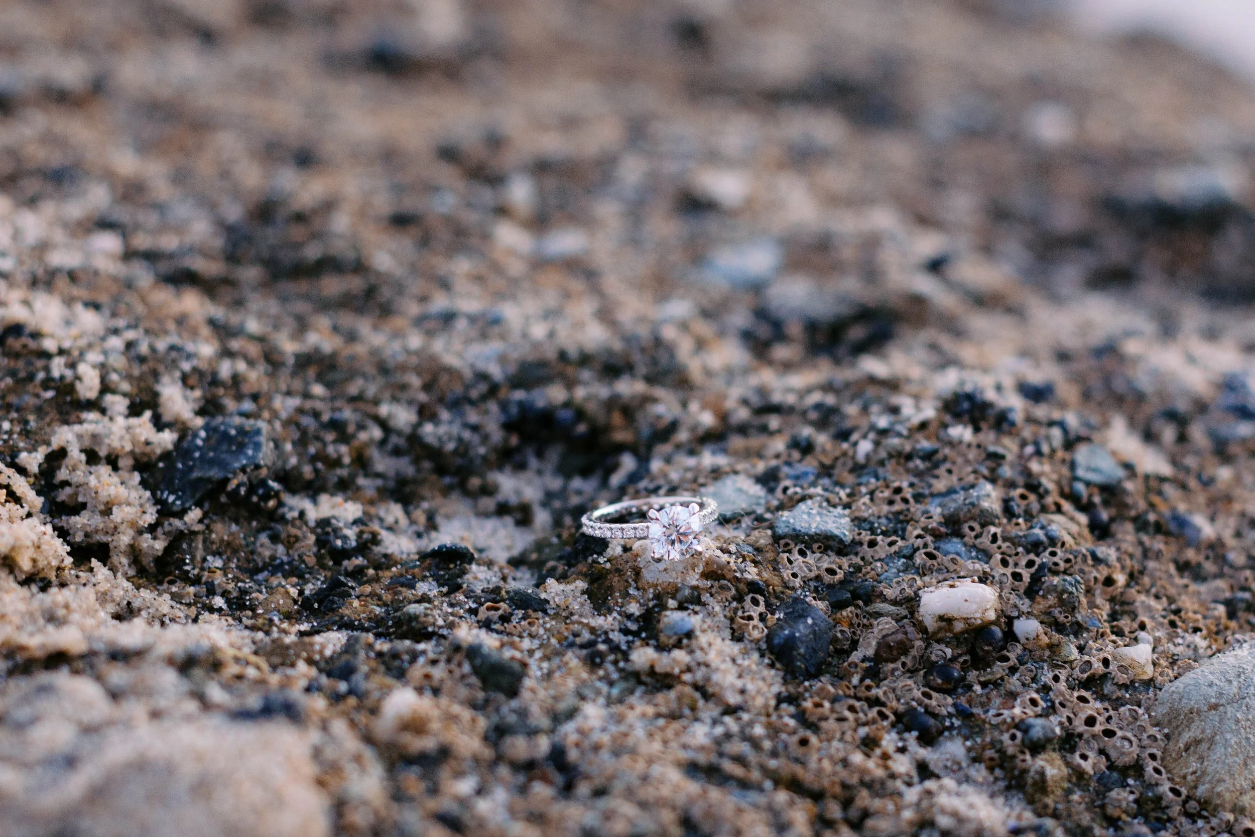 laguna-beach-proposal-photographer-alissa-noelle-photography-70.jpg