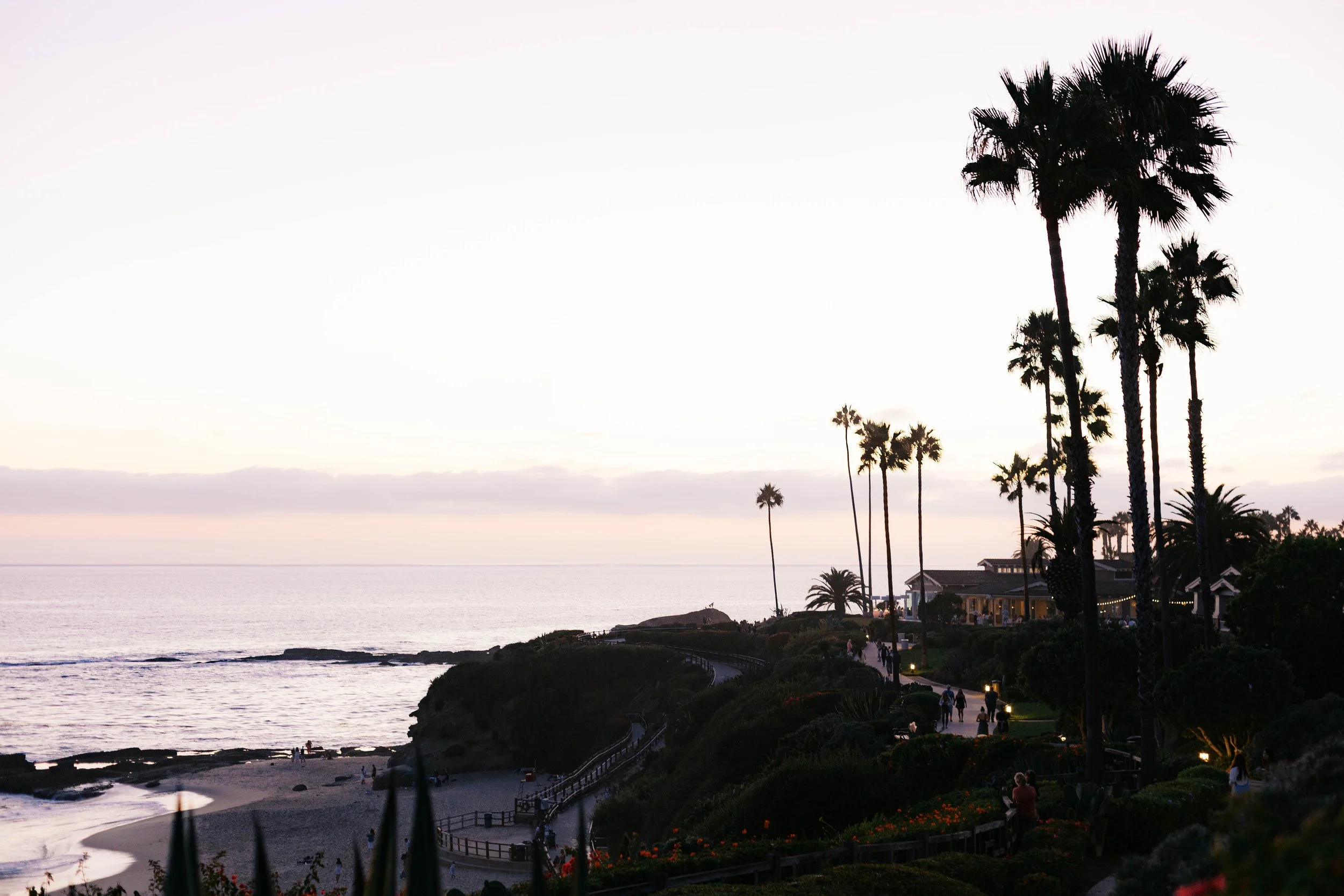 laguna-beach-proposal-photographer-alissa-noelle-photography-74.jpg