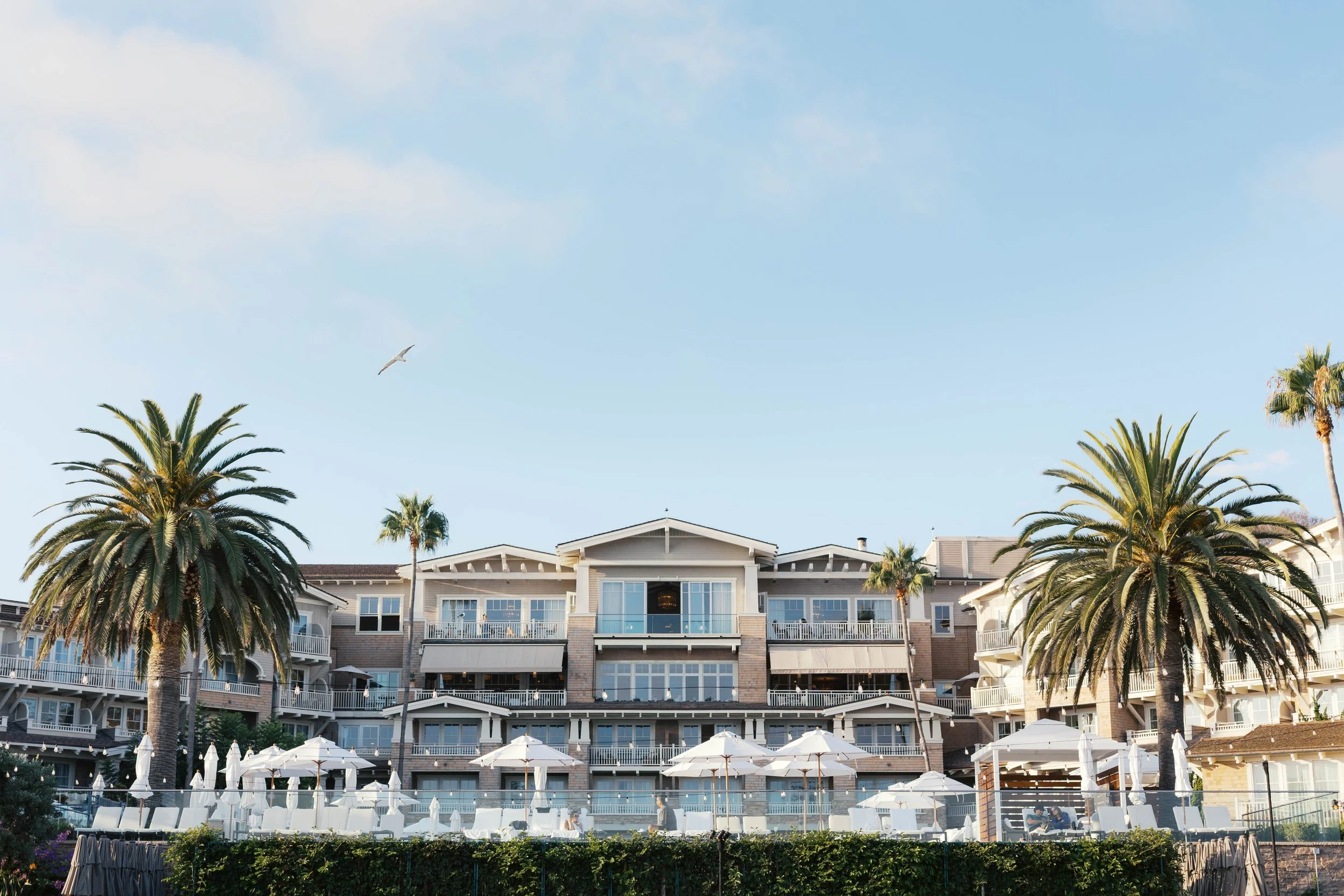 laguna-beach-proposal-photographer-alissa-noelle-photography.jpg