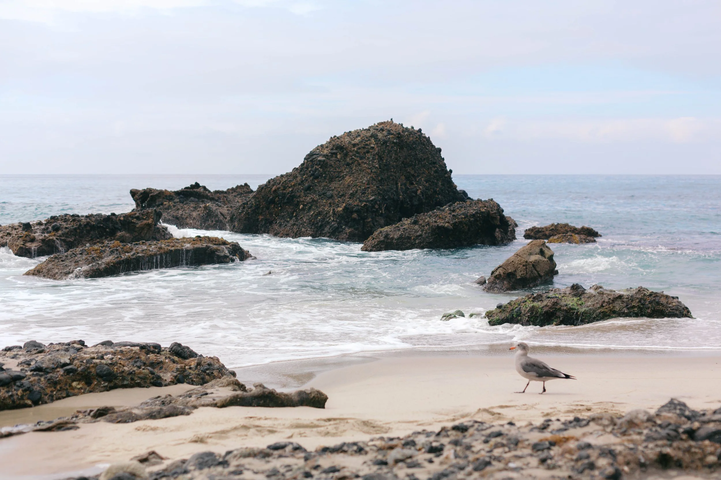 woods-cove-coastline-laguna-beach-2.jpg
