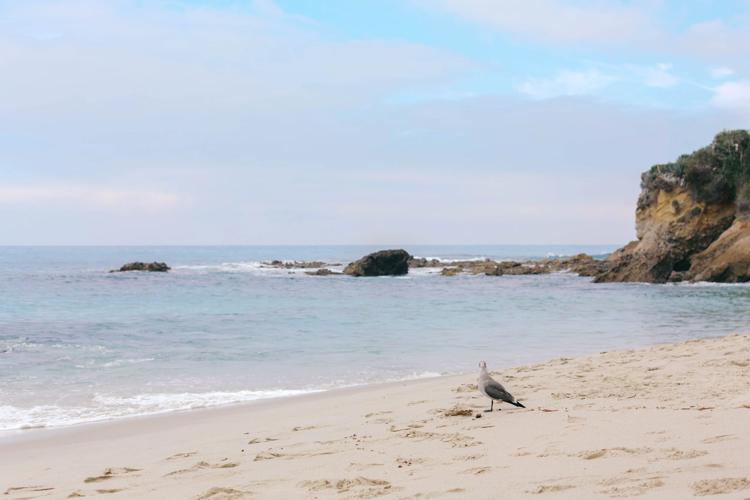 woods-cove-coastline-laguna-beach.jpg
