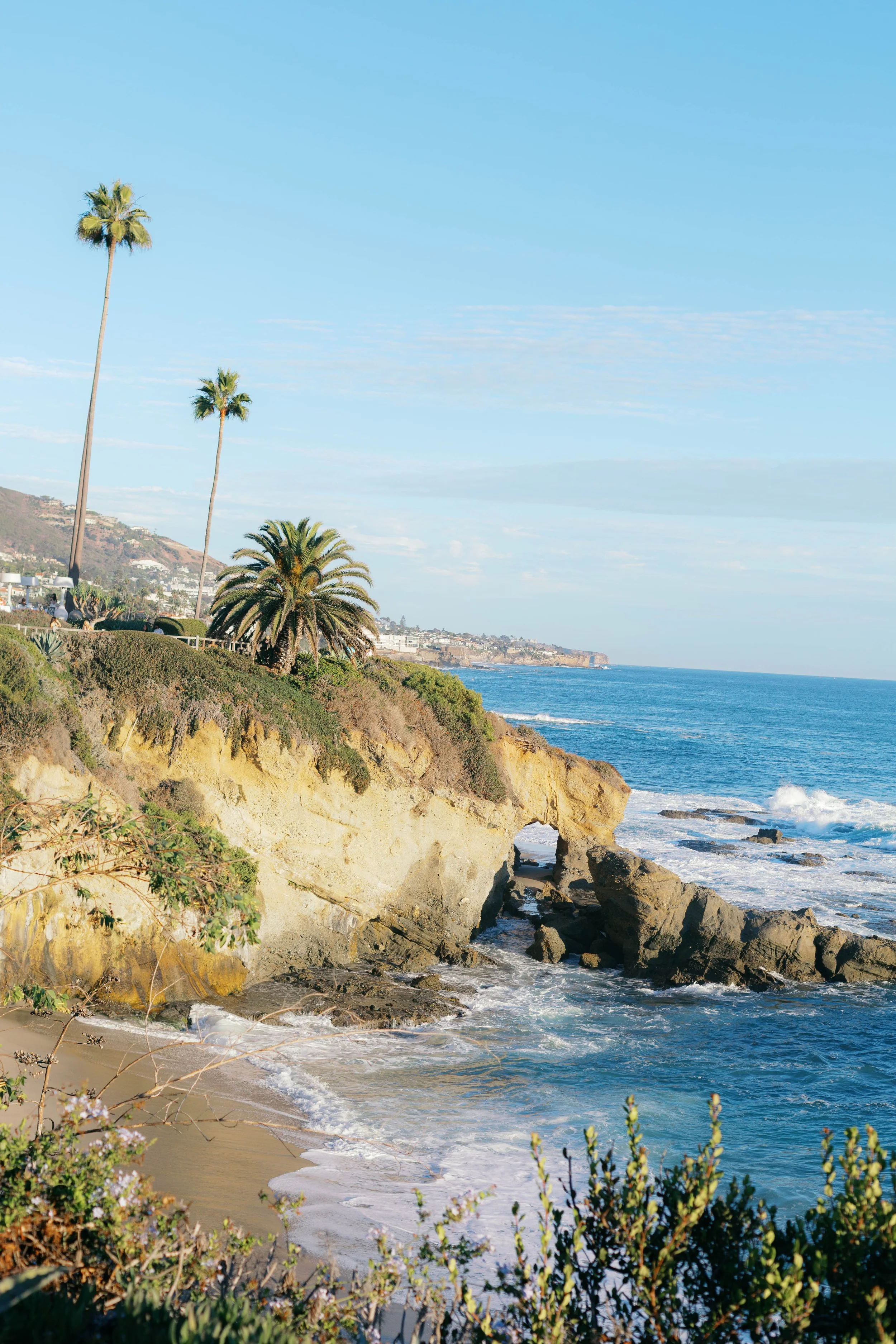 Laguna-Beach-Proposal-Photographer.jpg