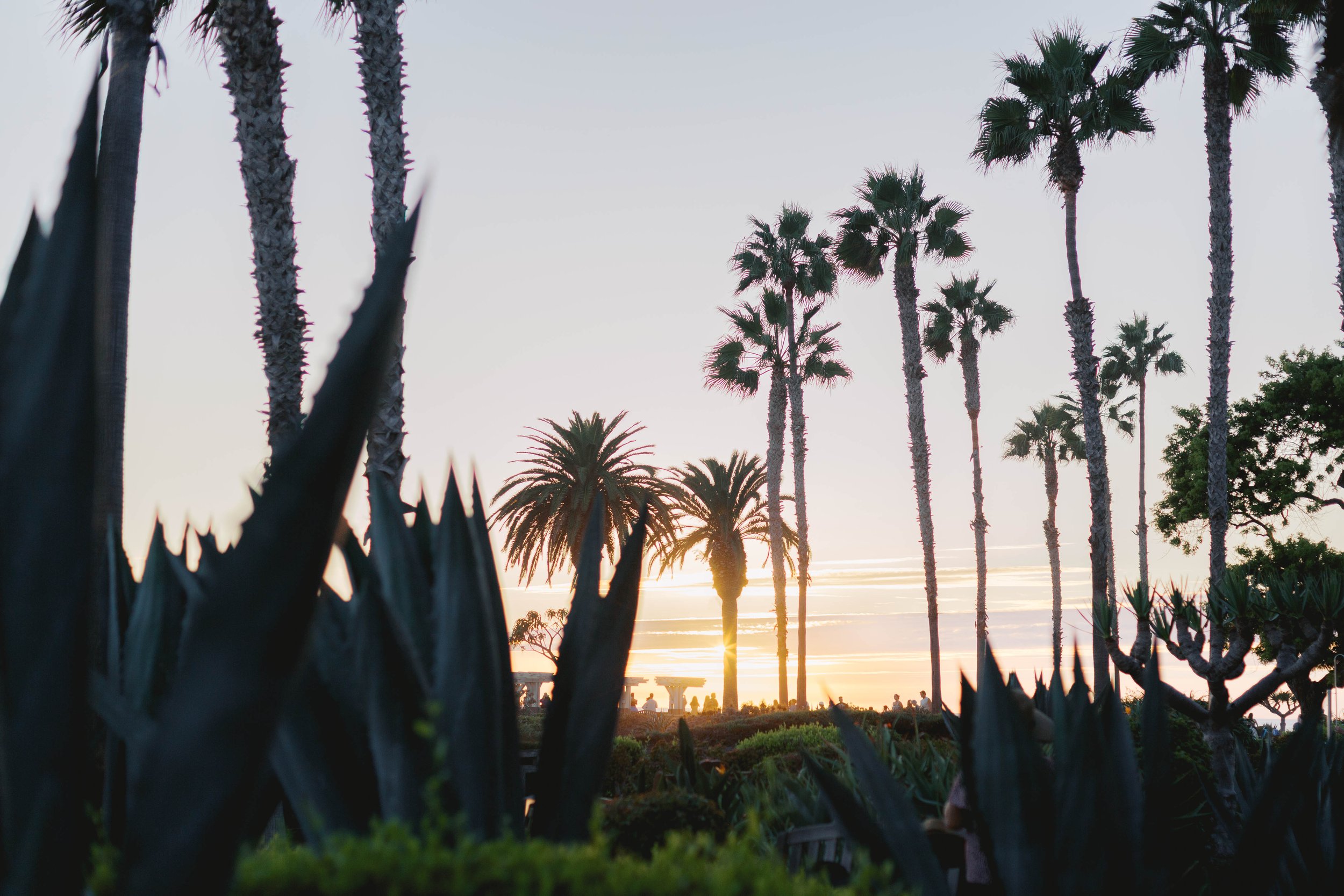 Montage-Laguna-Beach-Proposal-Photographer-22.jpg