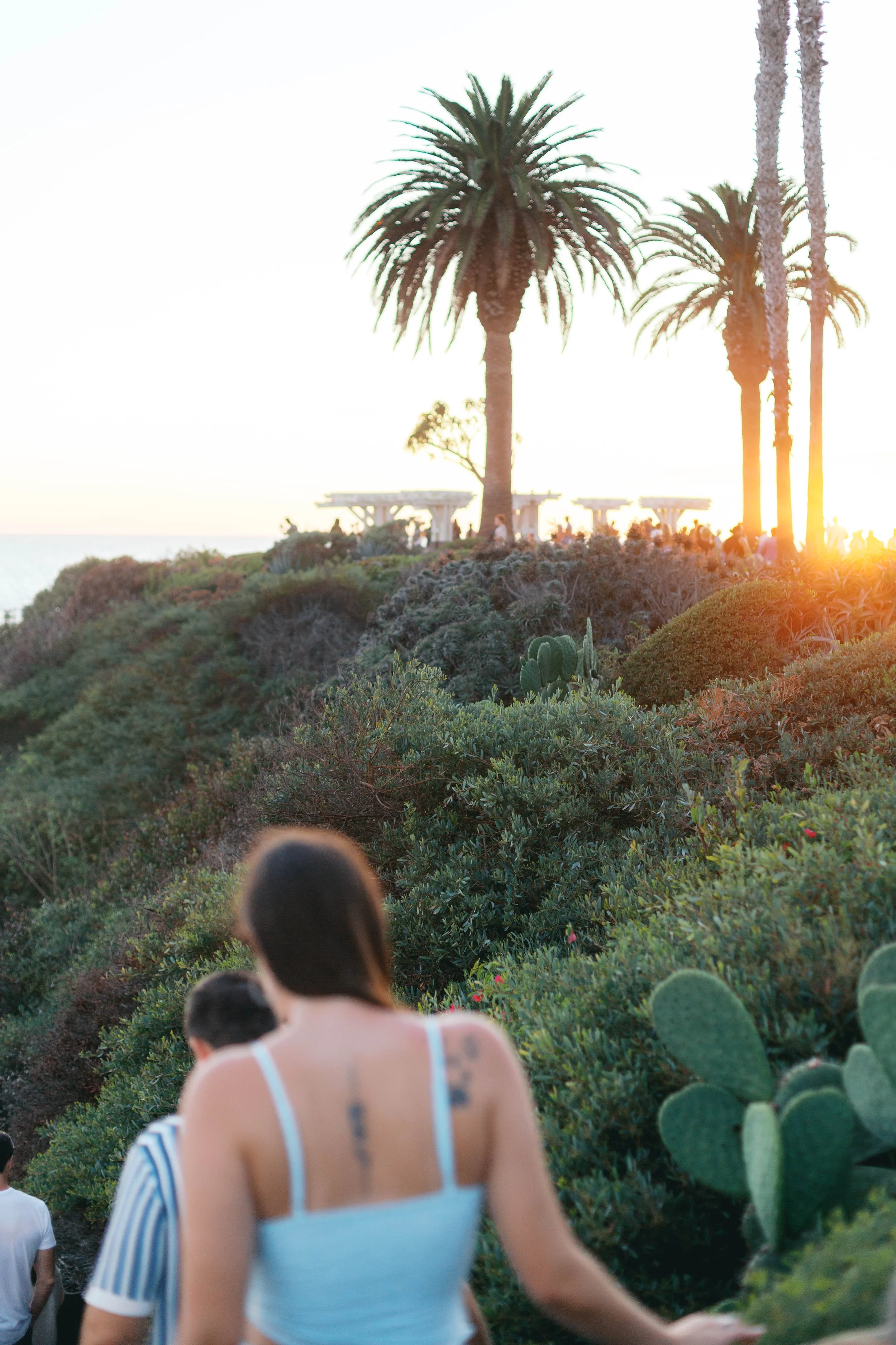 Montage-Laguna-Beach-Proposal-Photographer-33.jpg