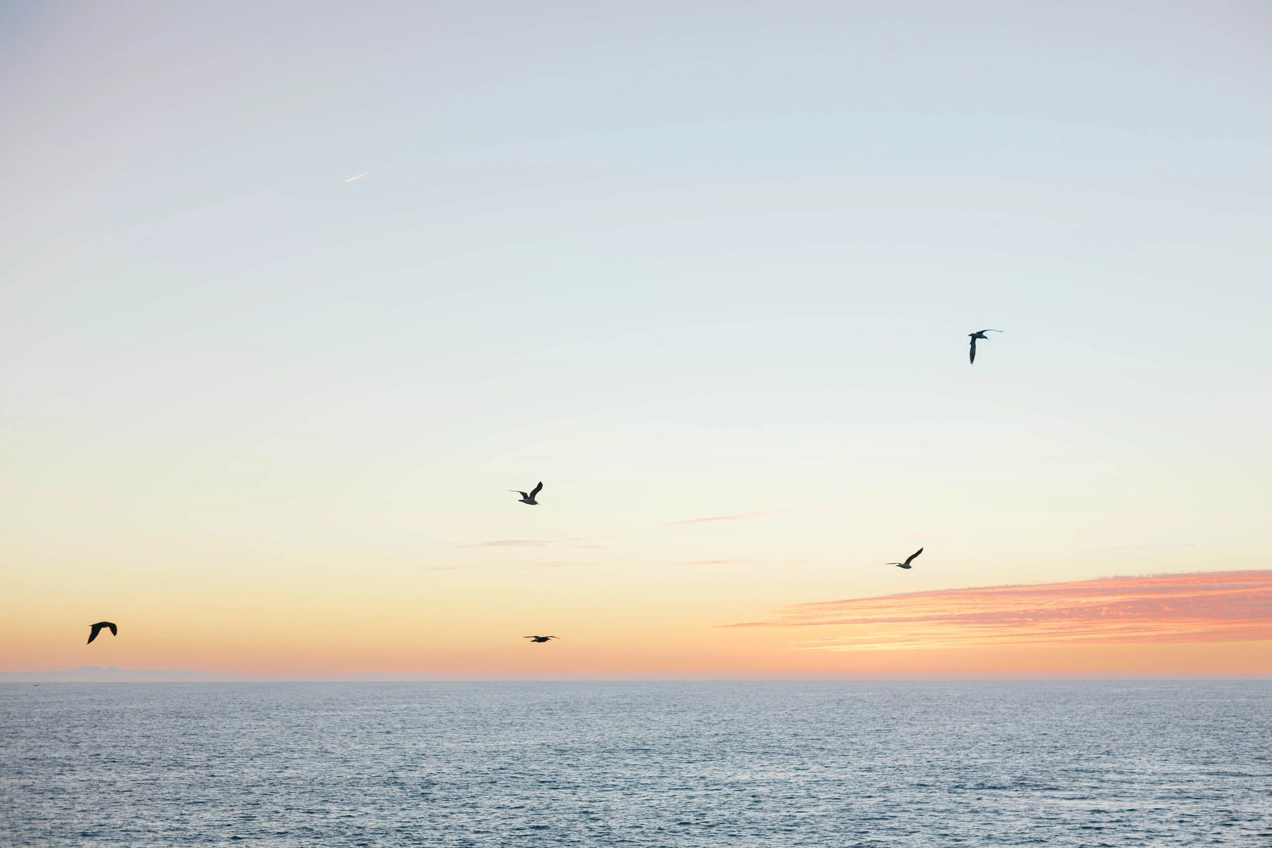 Montage-Laguna-Beach-Proposal-Photographer-73.jpg
