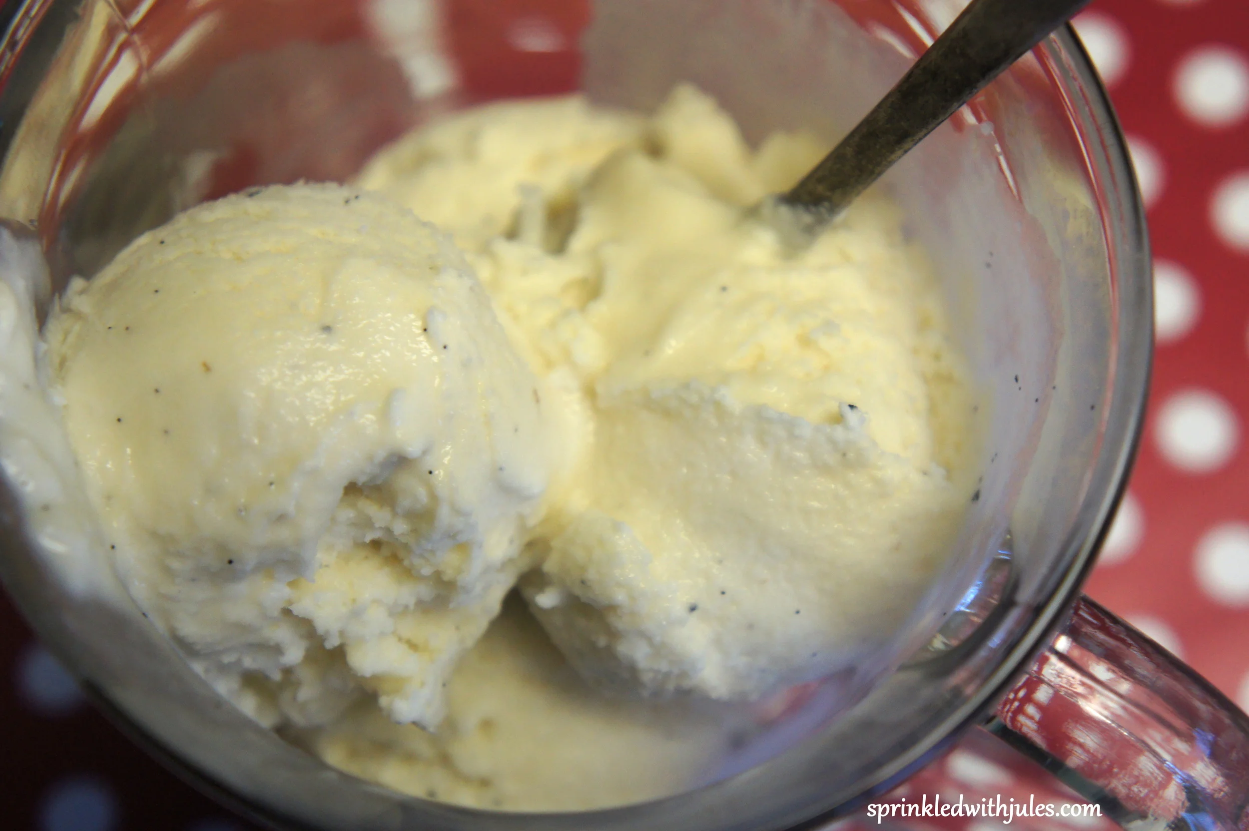   Vanilla Bean Ice Cream  